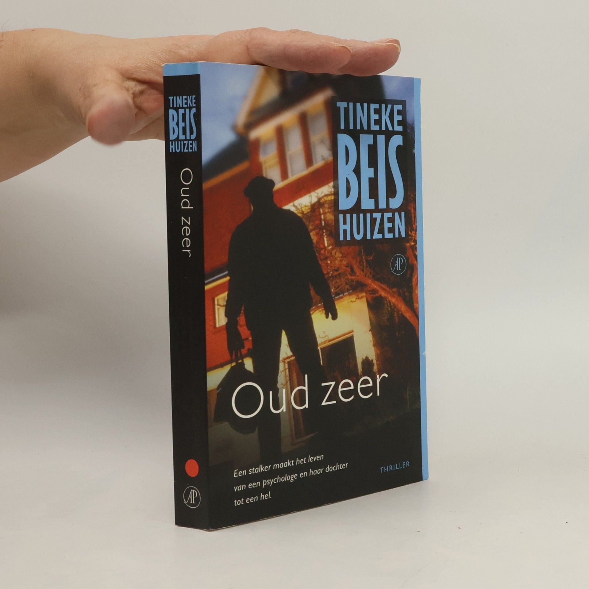 Tineke Beishuizen Oud zeer