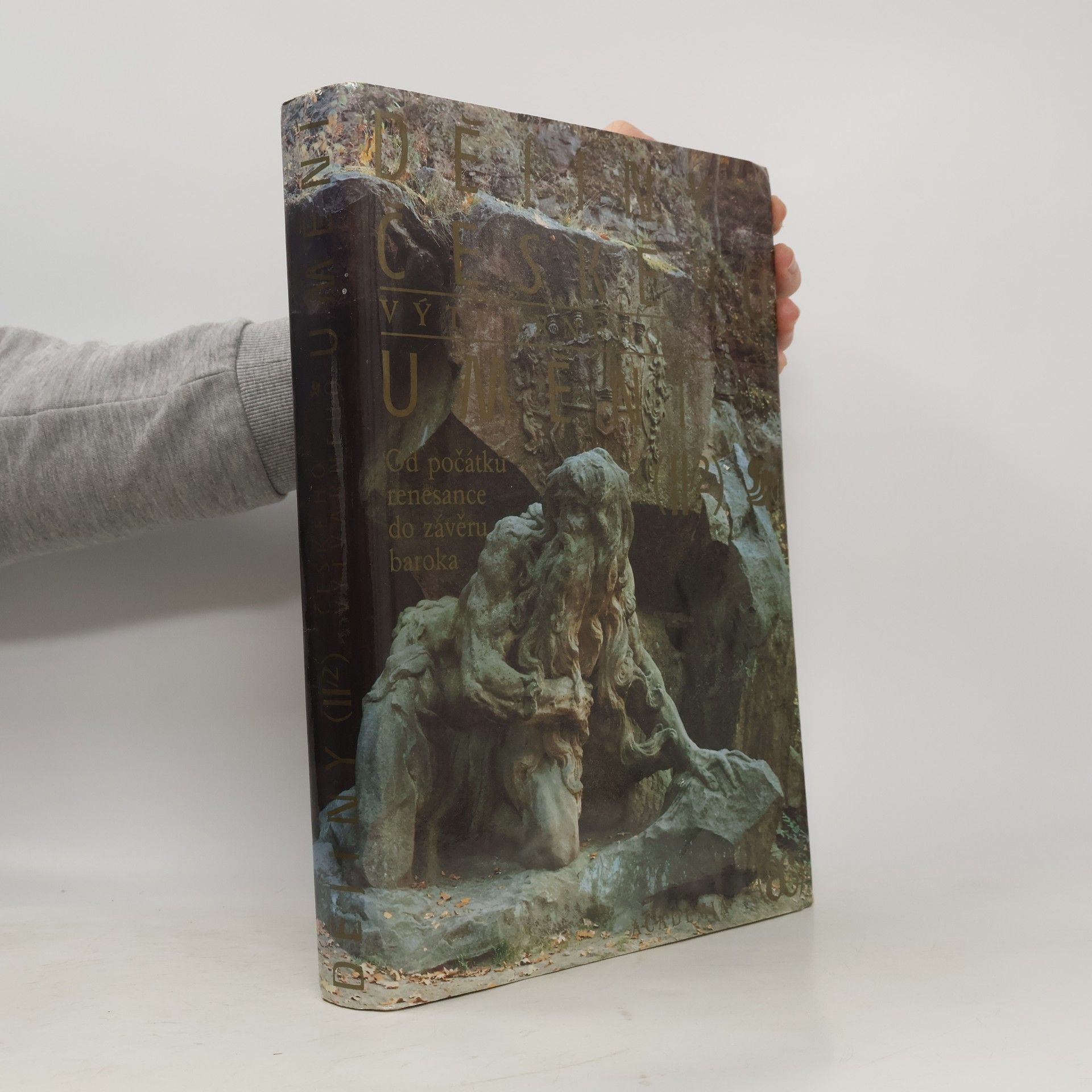 Jiří Dvorský Dějiny českého výtvarného umění II/2