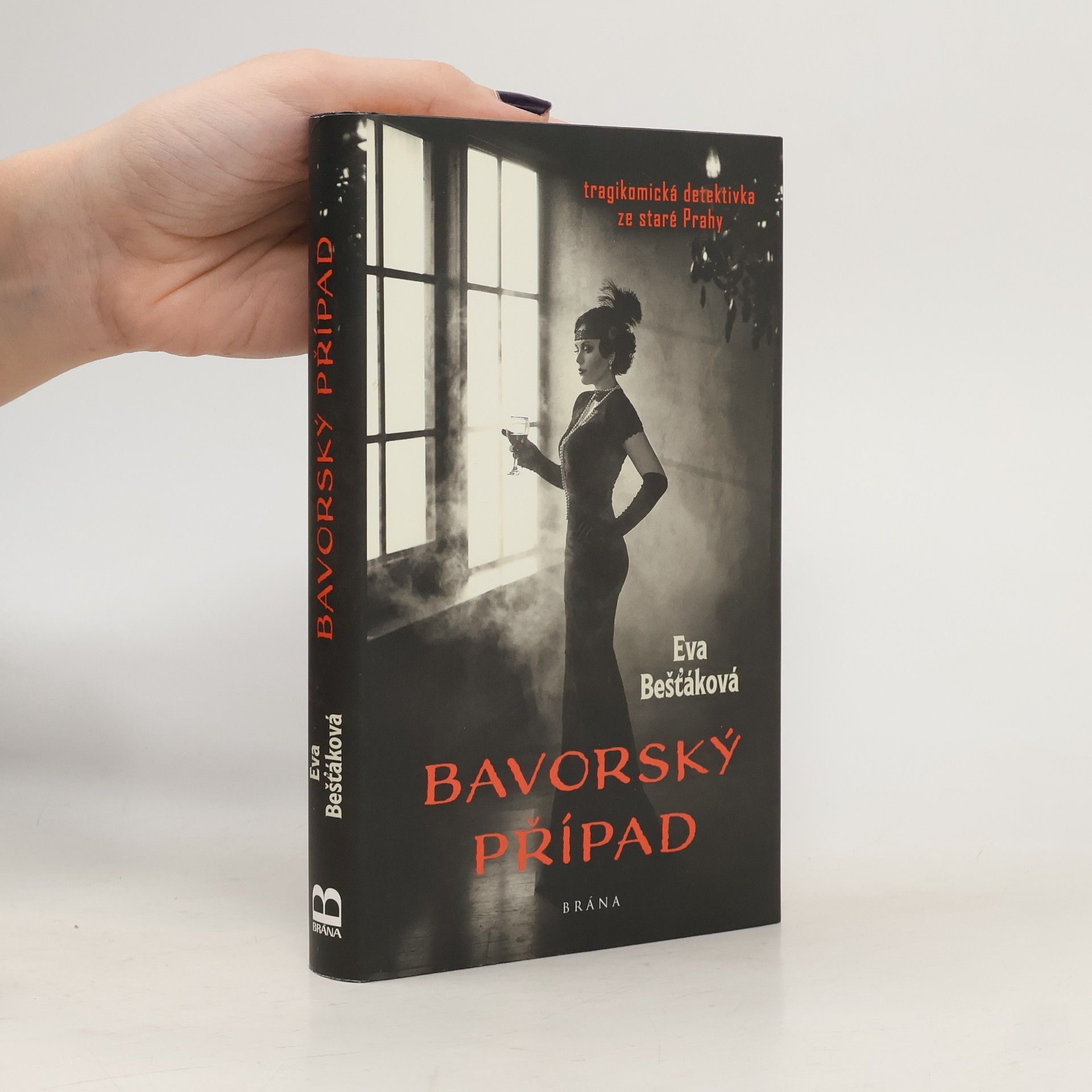 Eva Bešťáková Bavorský případ