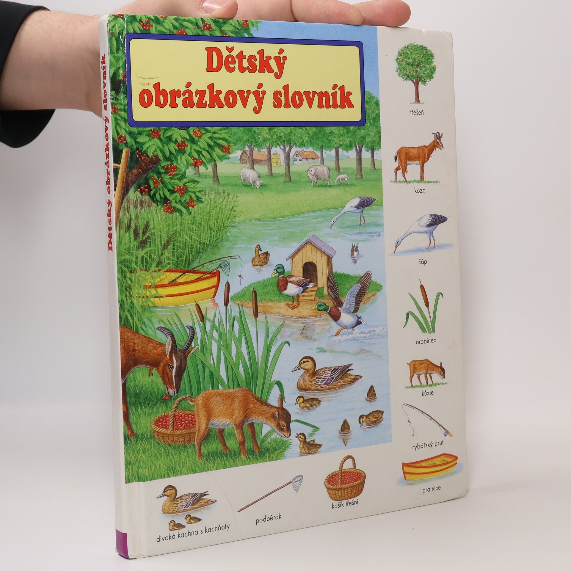 Gisela Fischer-Lingat Dětský obrázkový slovník