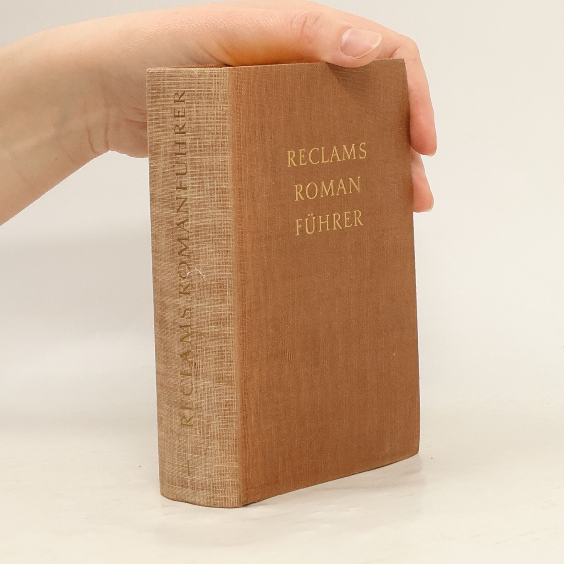 Autores varios Reclams Romanführer I