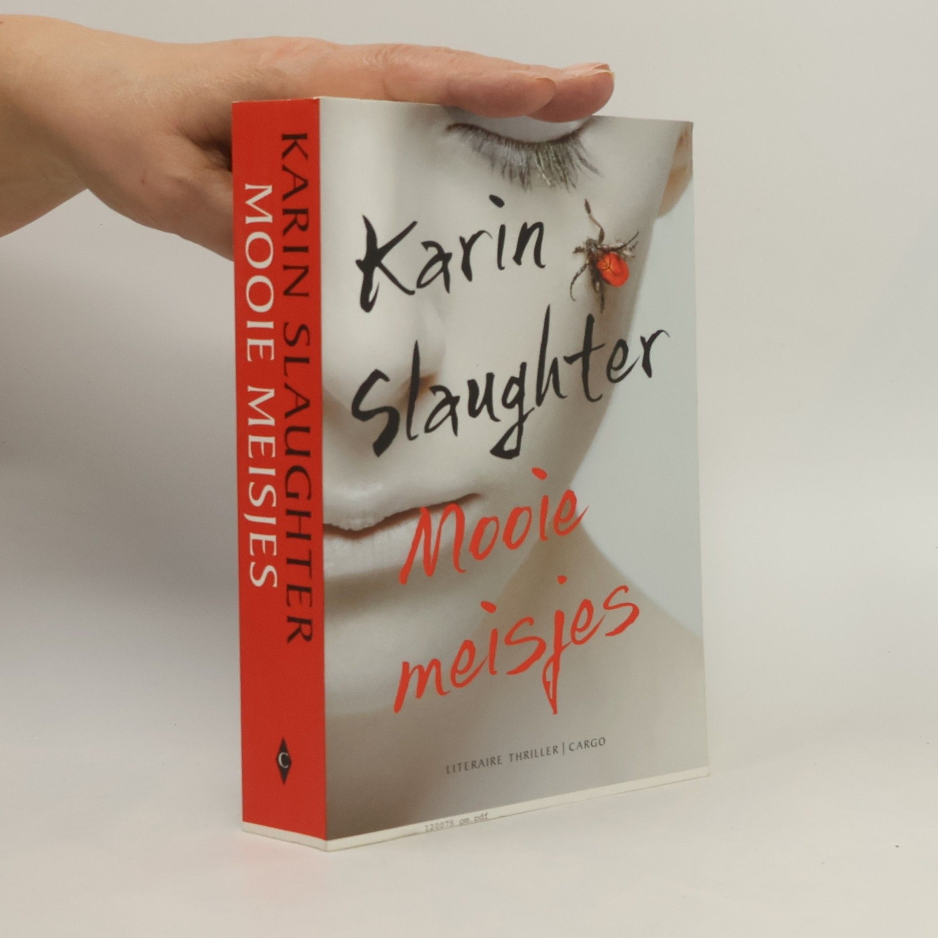 Ineke Lenting Mooie meisjes / druk 3