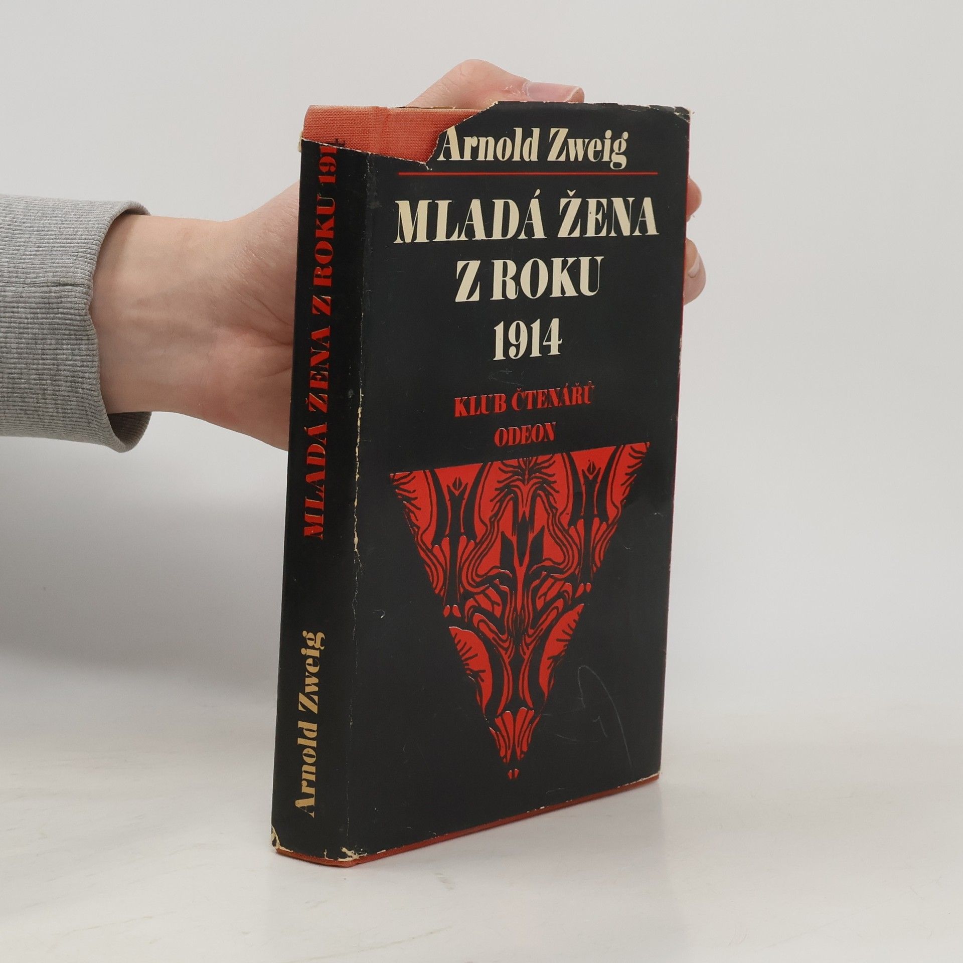 Arnold Zweig Mladá žena z roku 1914