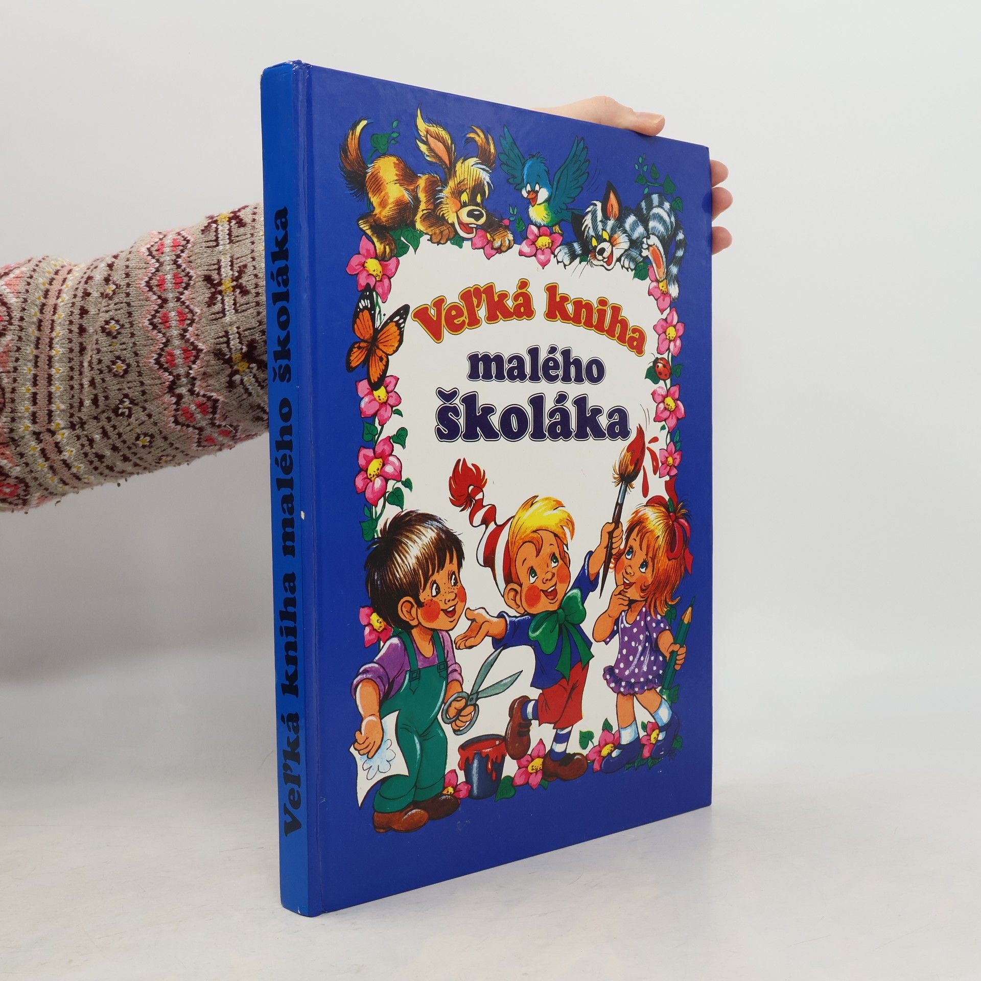 Collectif d'auteurs Veĺká kniha malého školáka