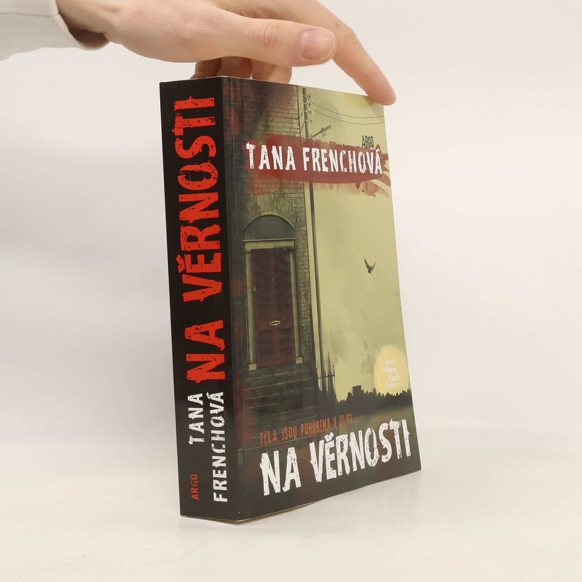 Tana French Na Věrnosti