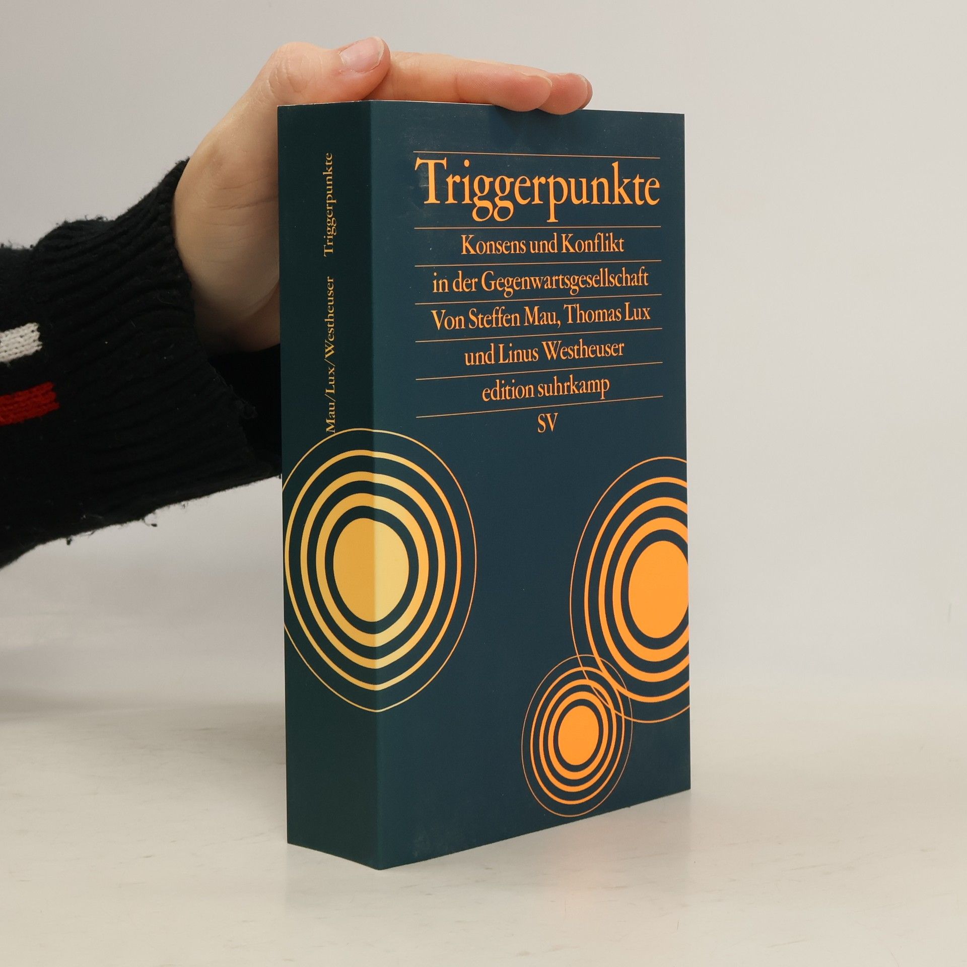 Steffen Mau Triggerpunkte