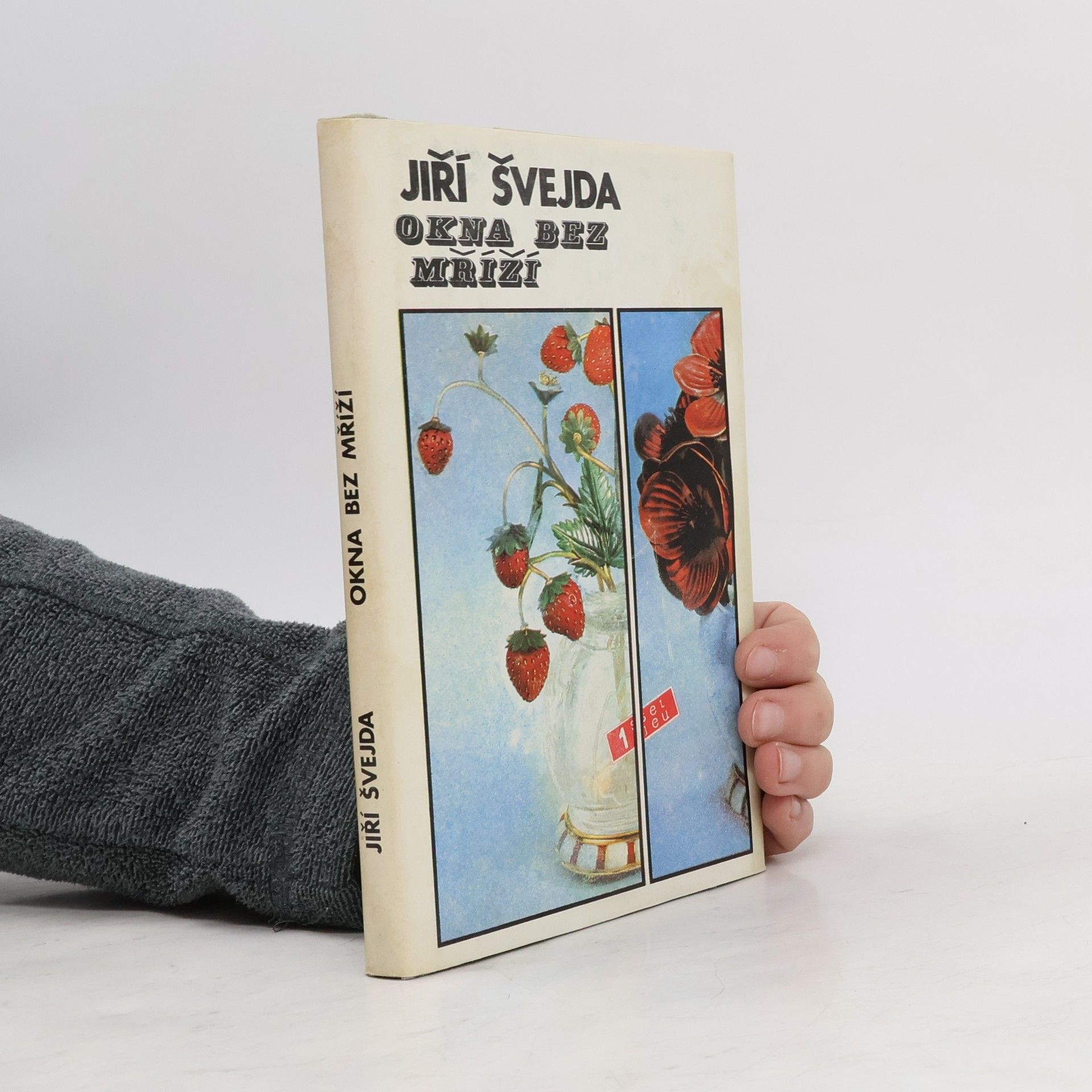 Jiří Švejda Okna bez mříží