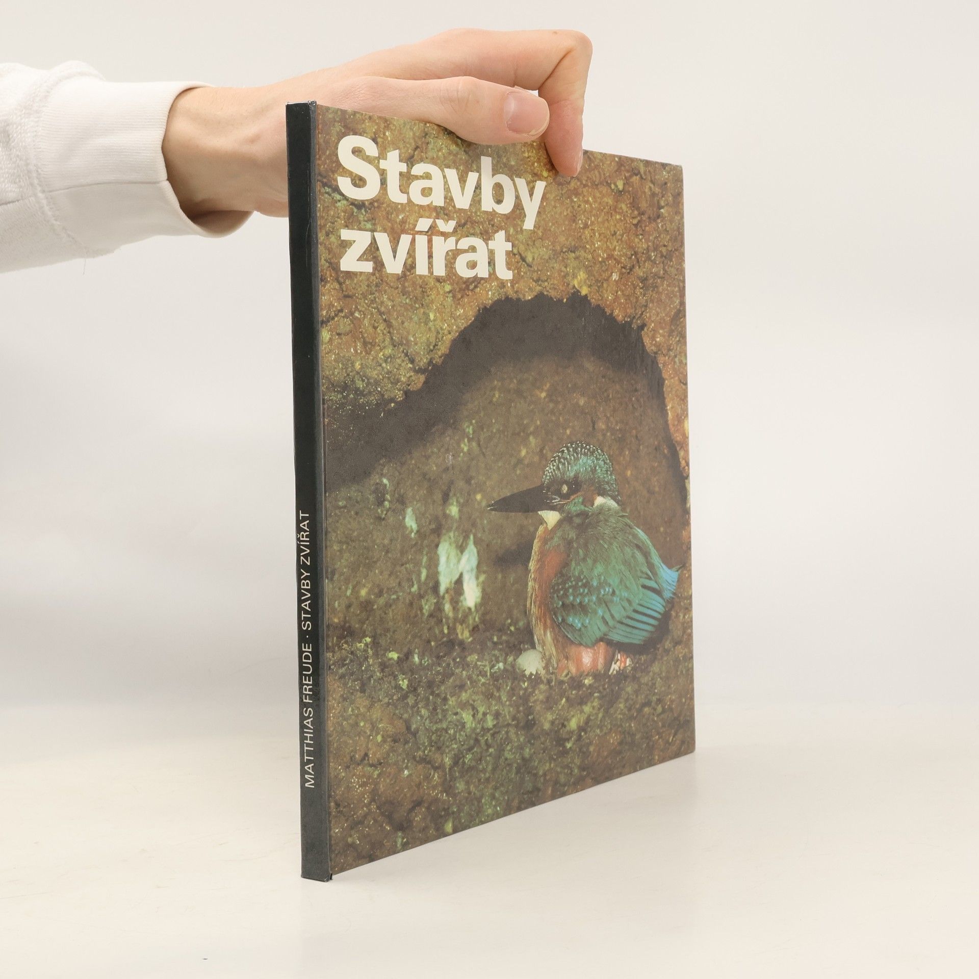 Matthias Freude Bauten der Tiere