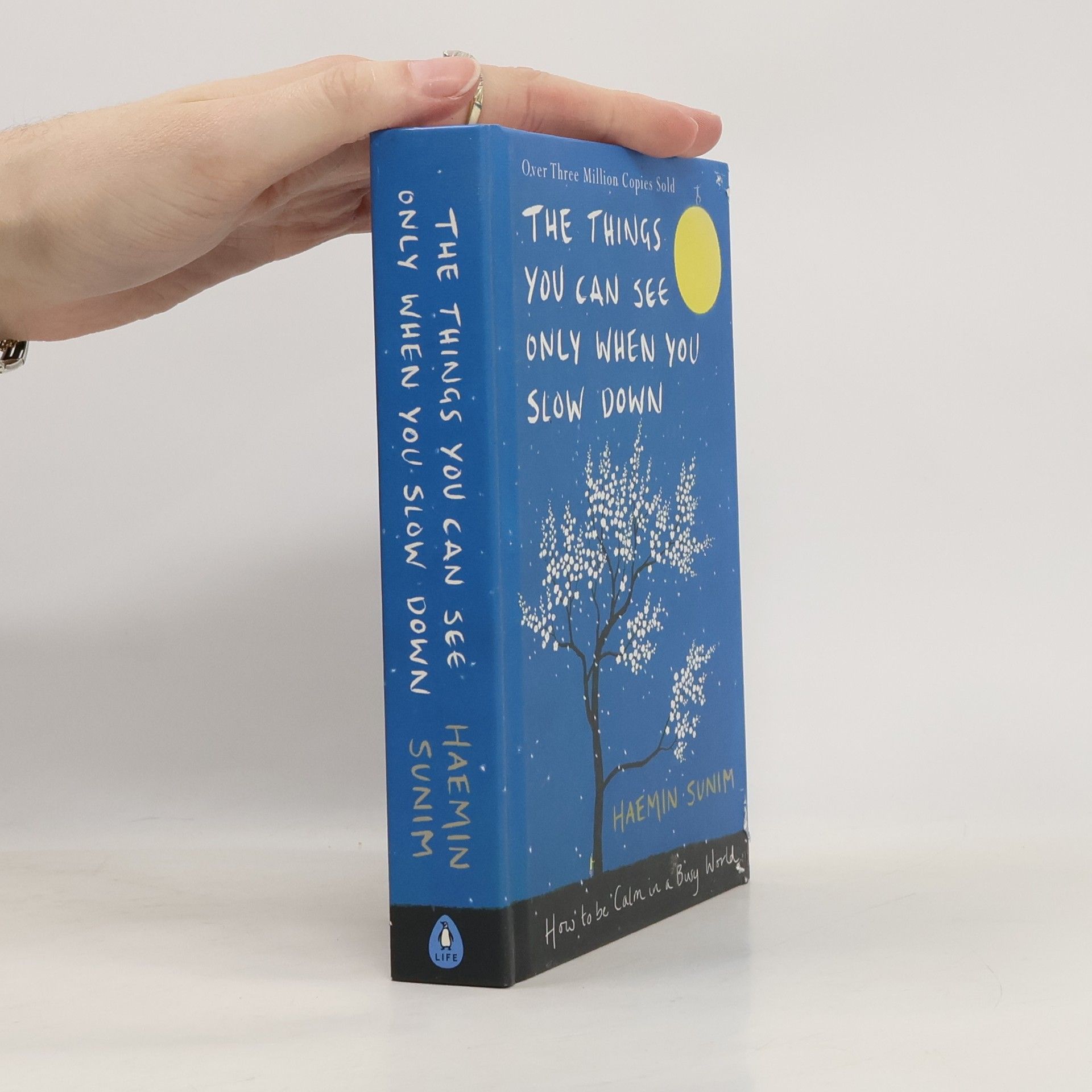 Hjemun The things you can see only when you slow down : how to be calm in a busy world