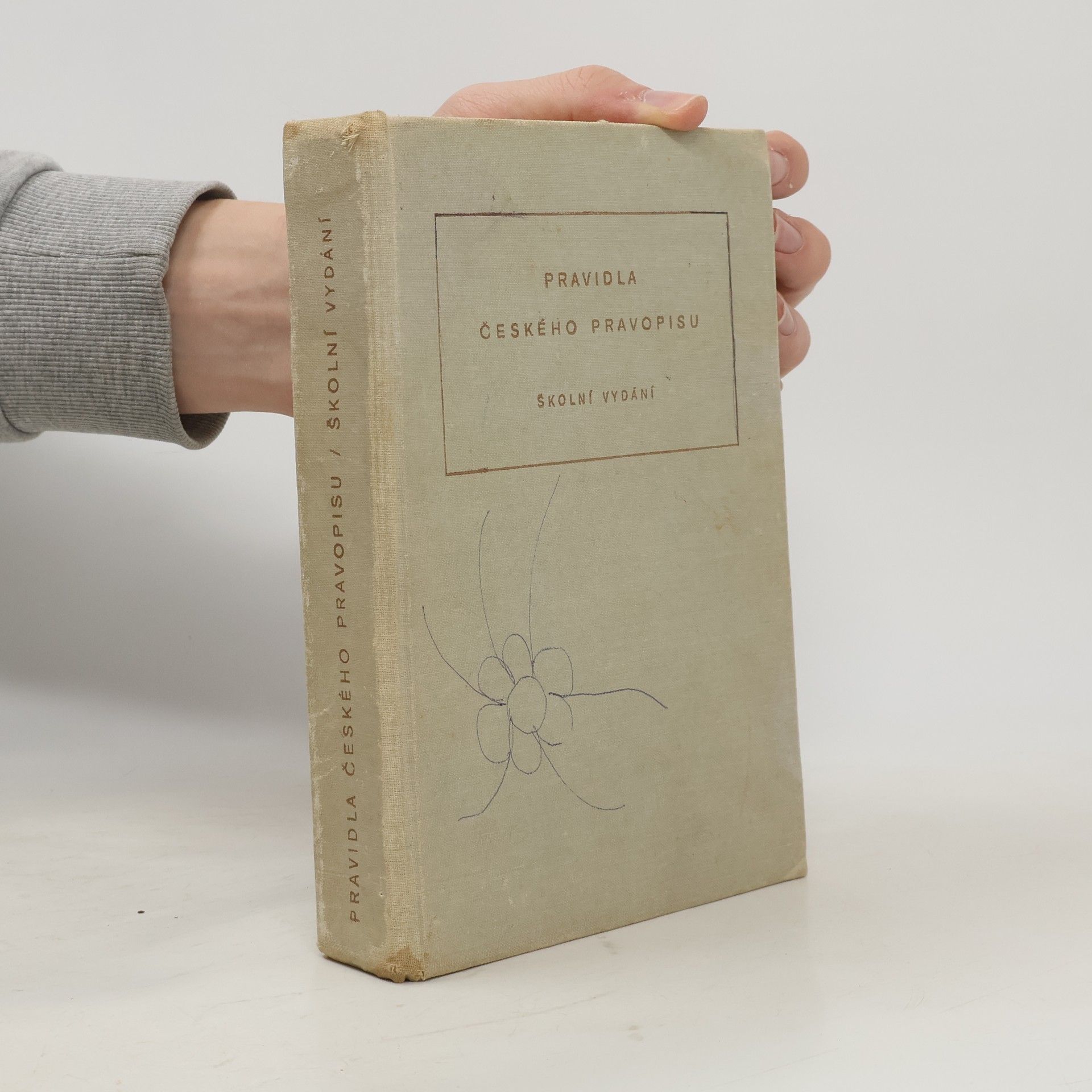 Collectif d'auteurs Pravidla českého pravopisu. Školní vydání