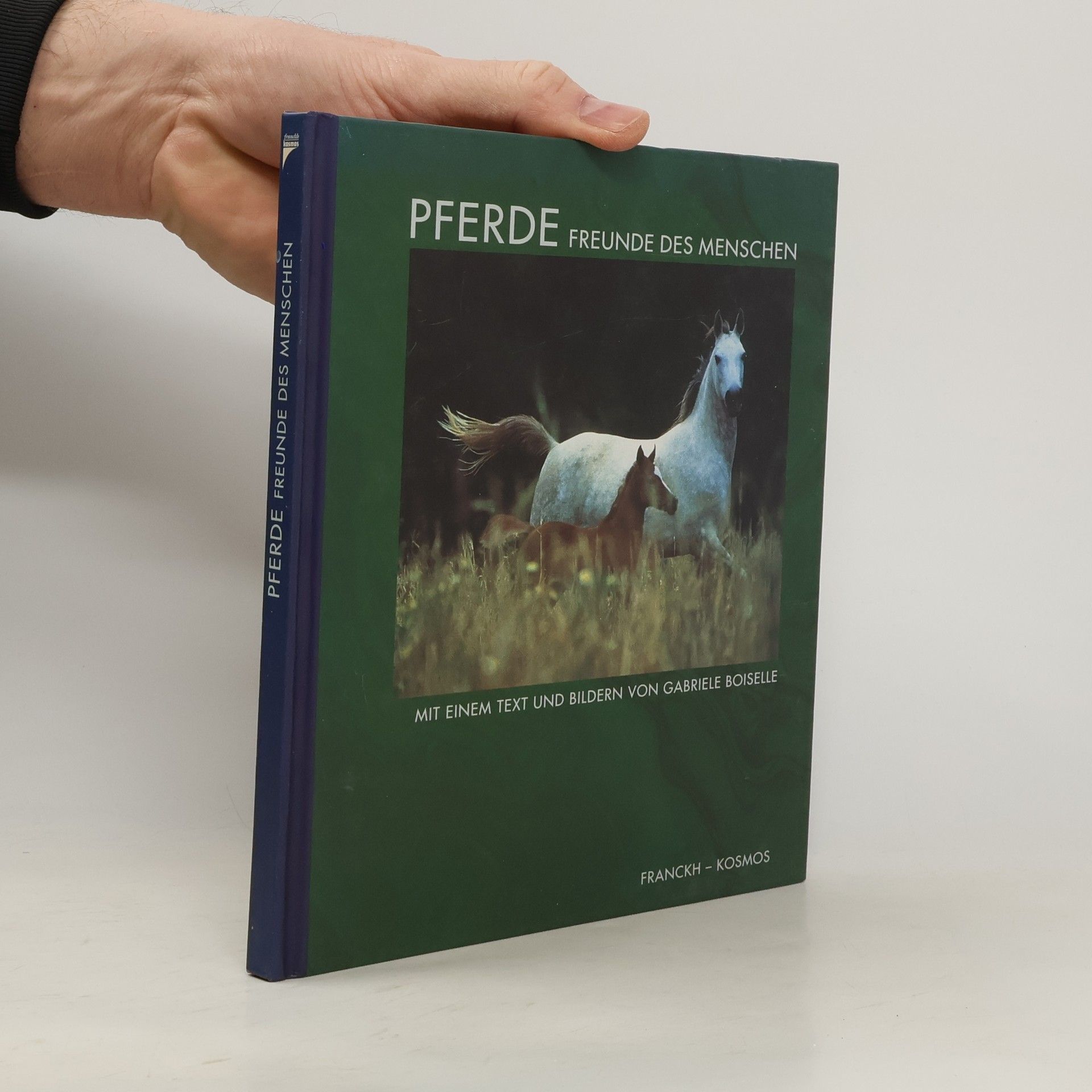 Collectif d'auteurs Pferde