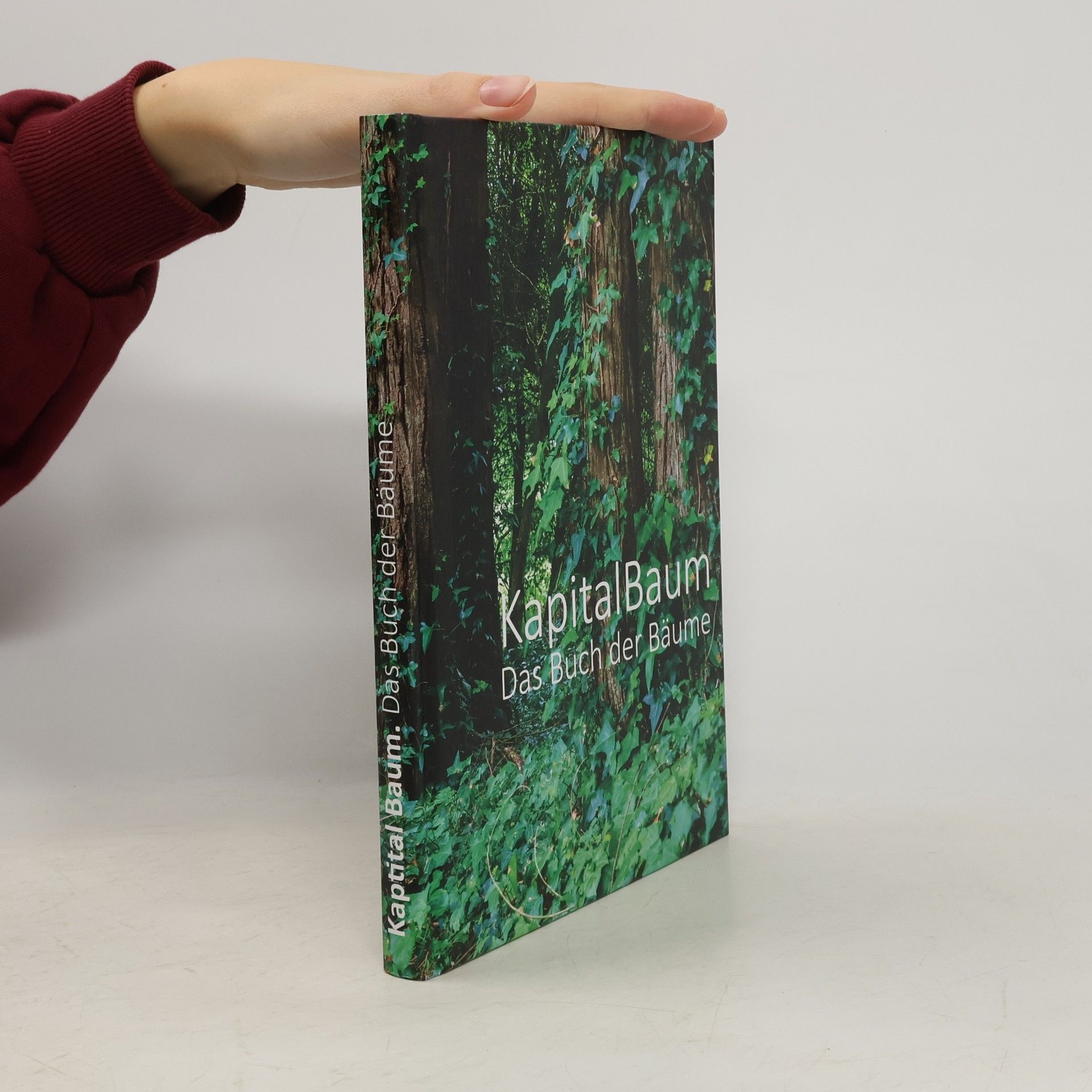 Ulrich Kronberger Kapital Buch