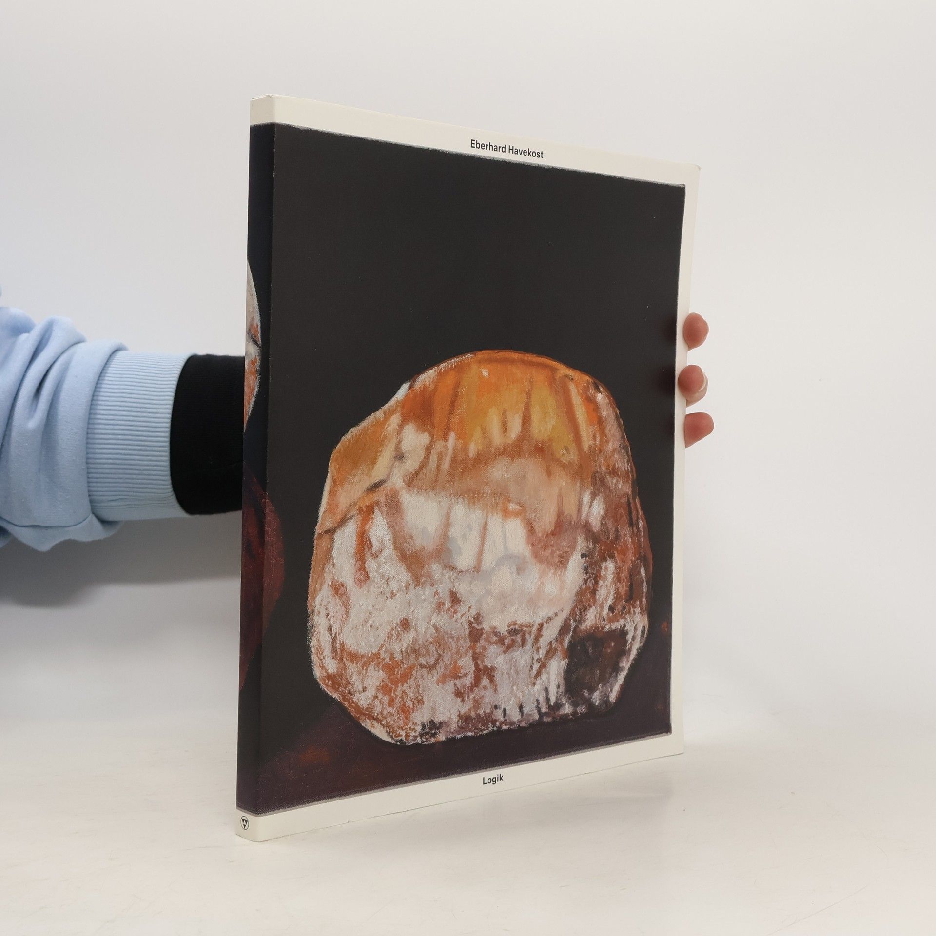Kolektiv autorů Eberhard Havekost: Logik