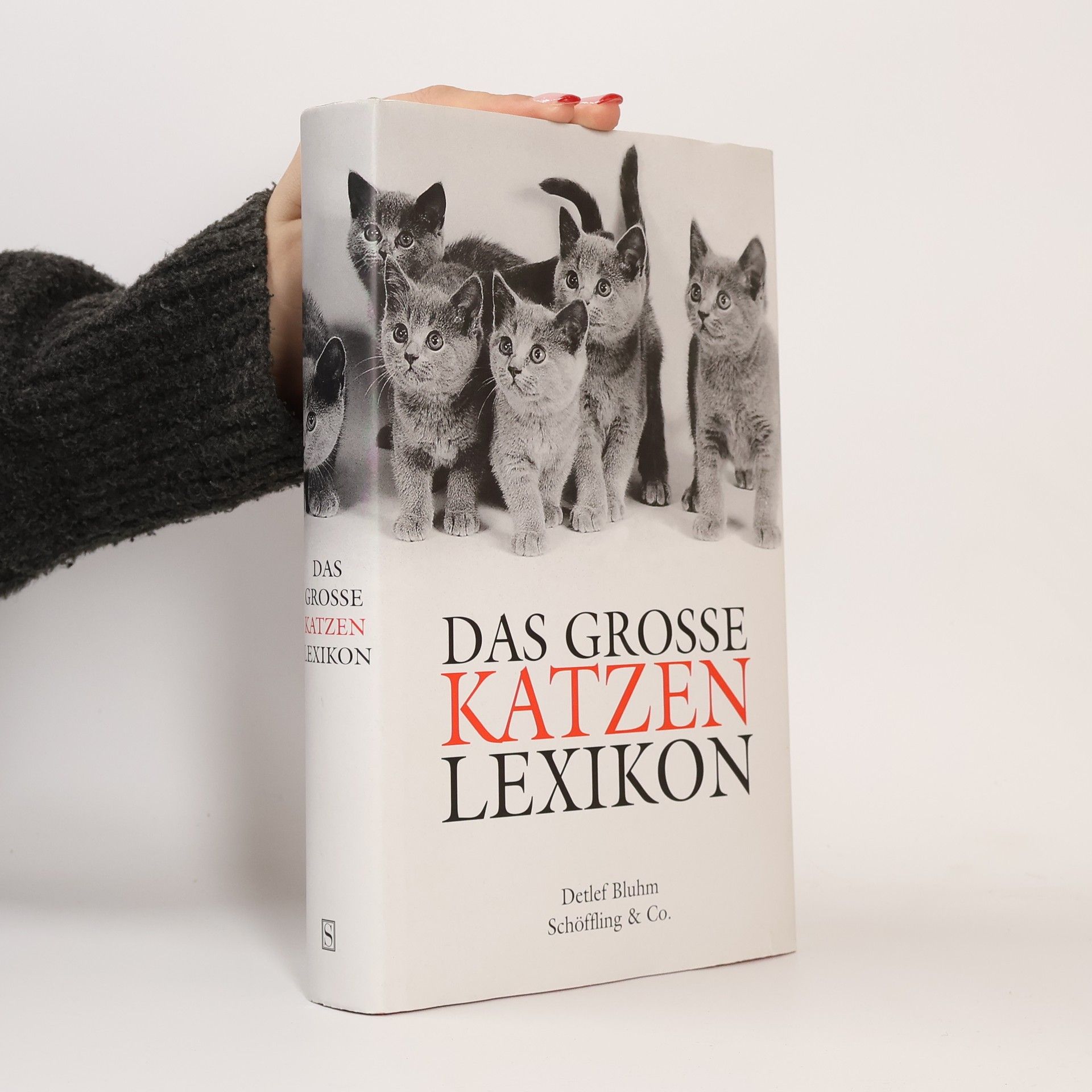 Detlef Bluhm Das grosse Katzen-Lexikon