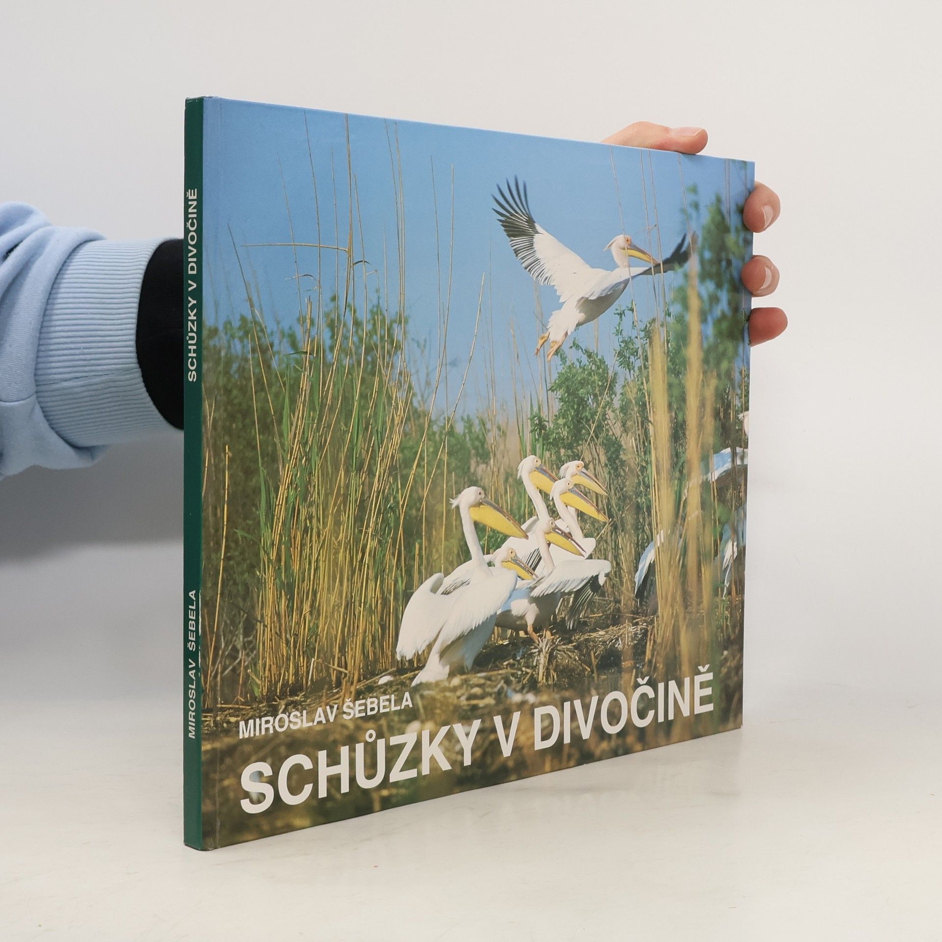 Schůzky v divočině