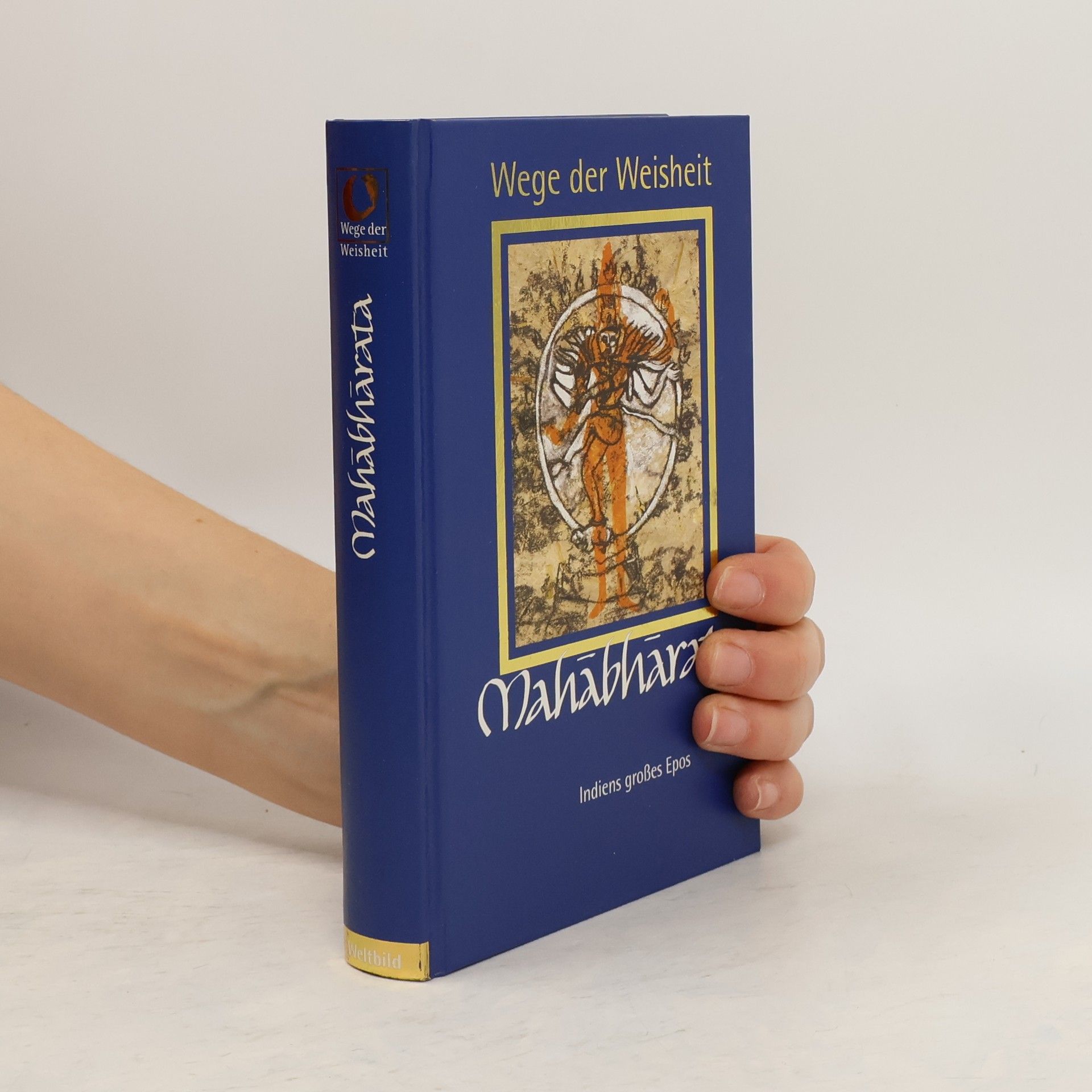 Kolektiv autorů Mahabharata. Indiens großes Epos