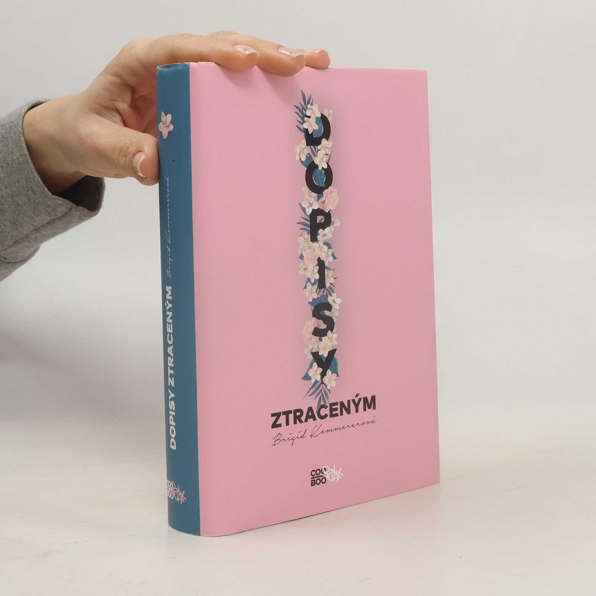 Brigid Kemmerer Dopisy ztraceným