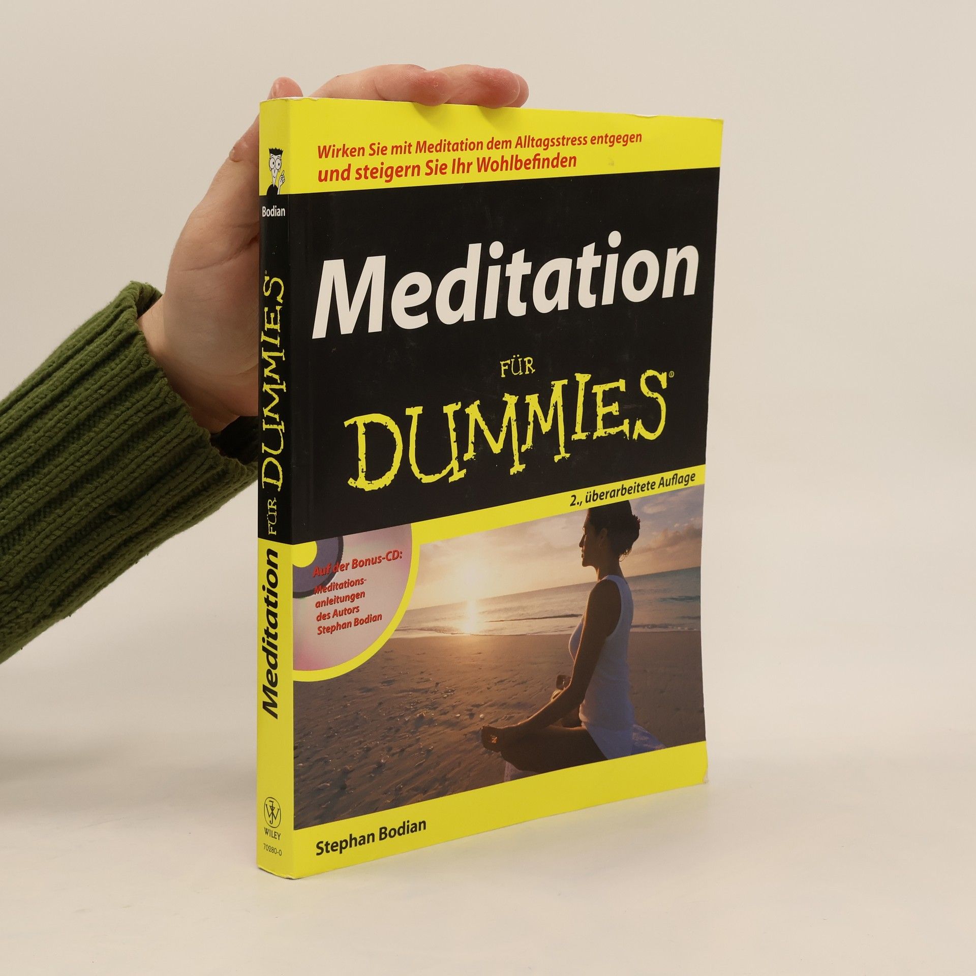 Stephan Bodian Meditation für Dummies
