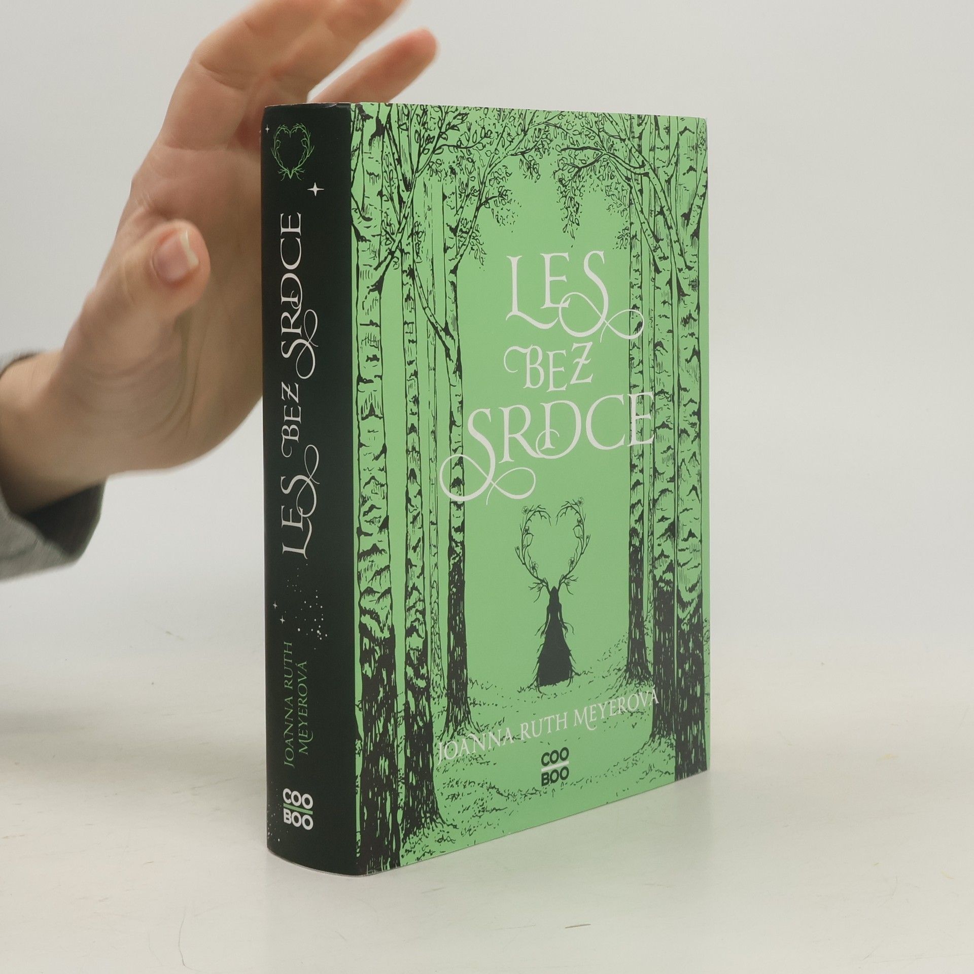 Joanna Ruth Meyer Les bez srdce