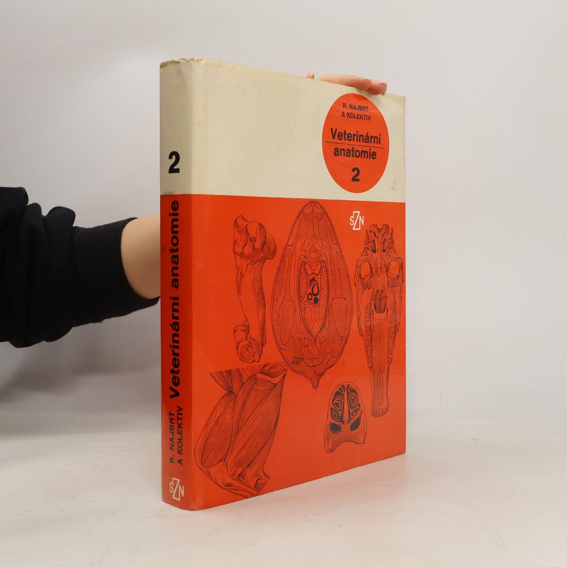 Radim Najbrt Veterinární anatomie 2