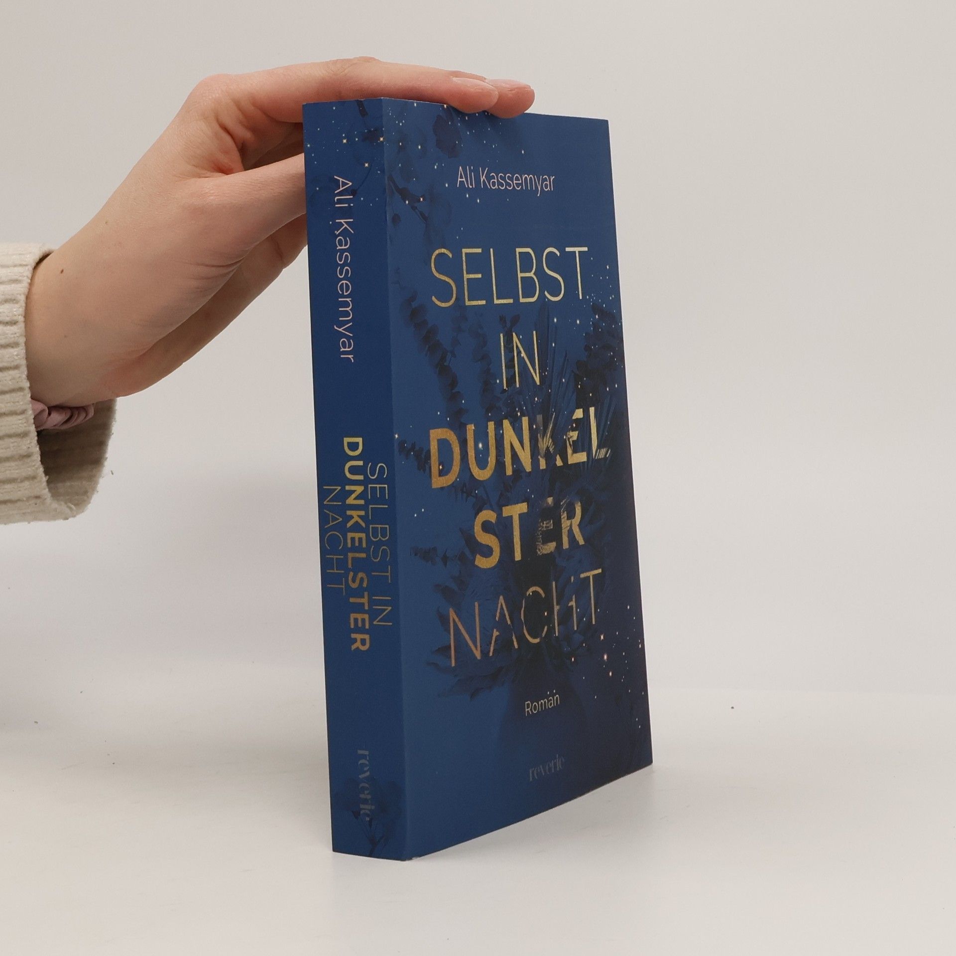 Ali Kassemyar Selbst in dunkelster Nacht