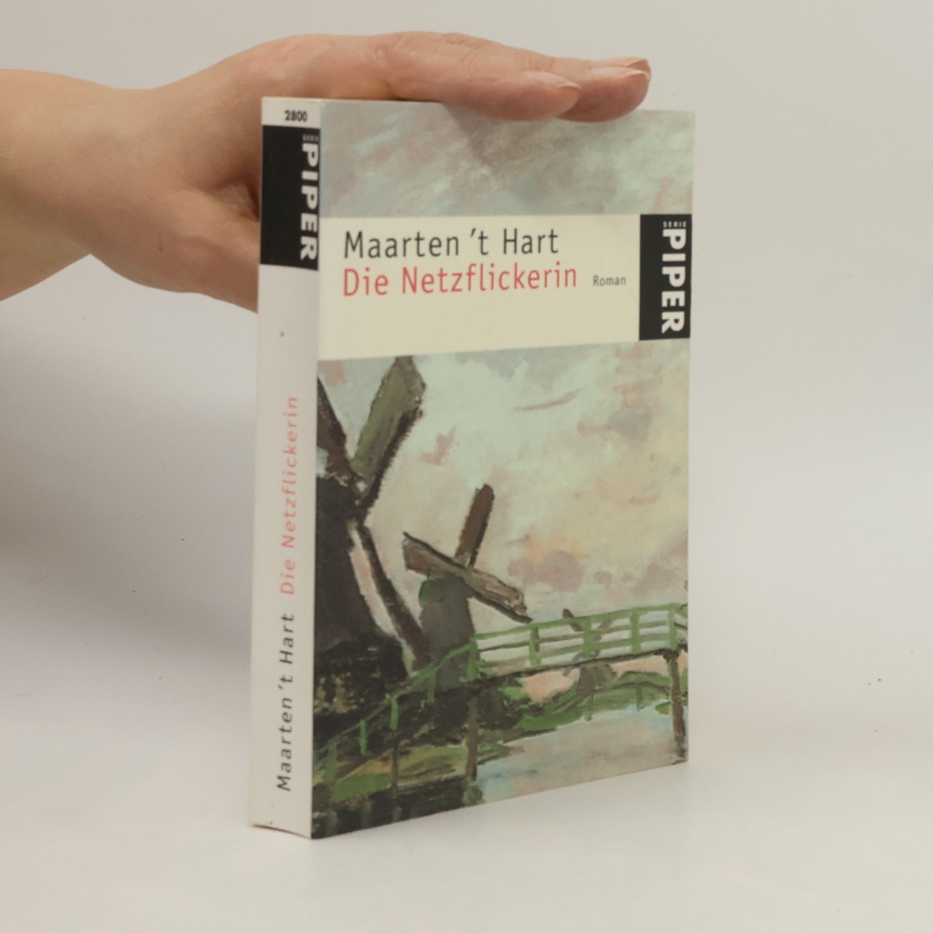 Maarten 't Hart Die Netzflickerin