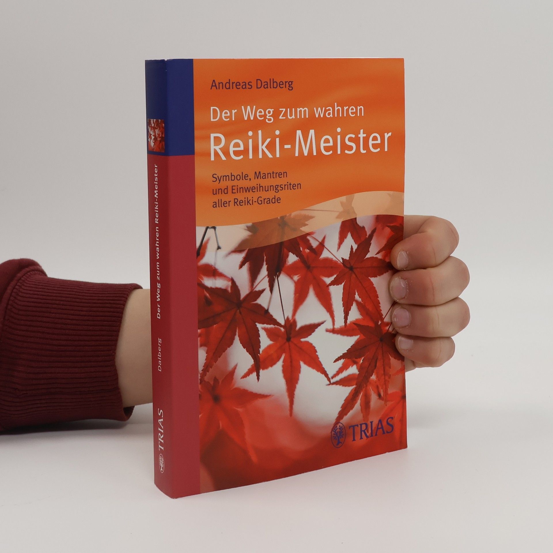 Andreas Dalberg Der Weg zum wahren reiki-Meister