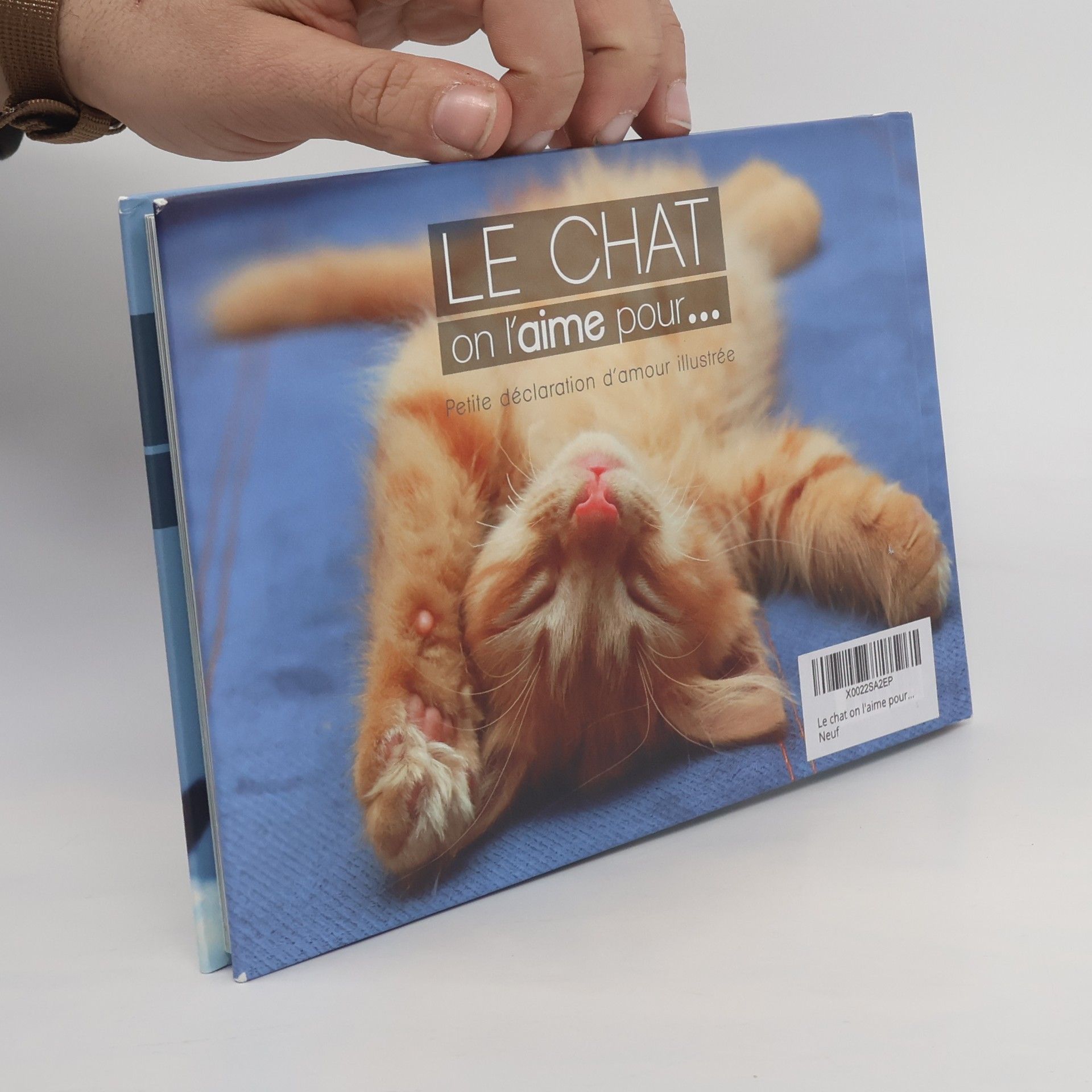 Antoine Guterg Le chat on l'aime pour...