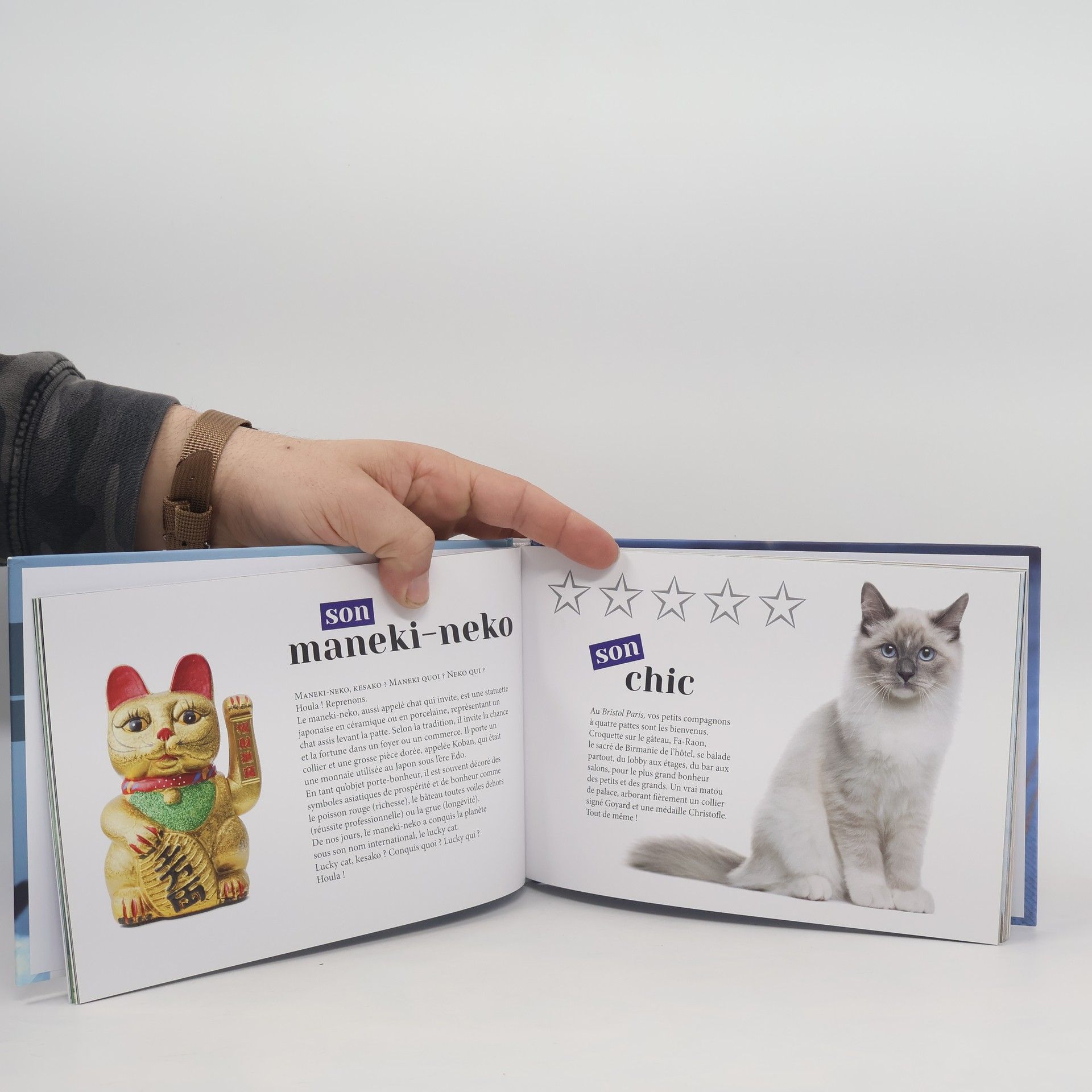 Antoine Guterg Le chat on l'aime pour...