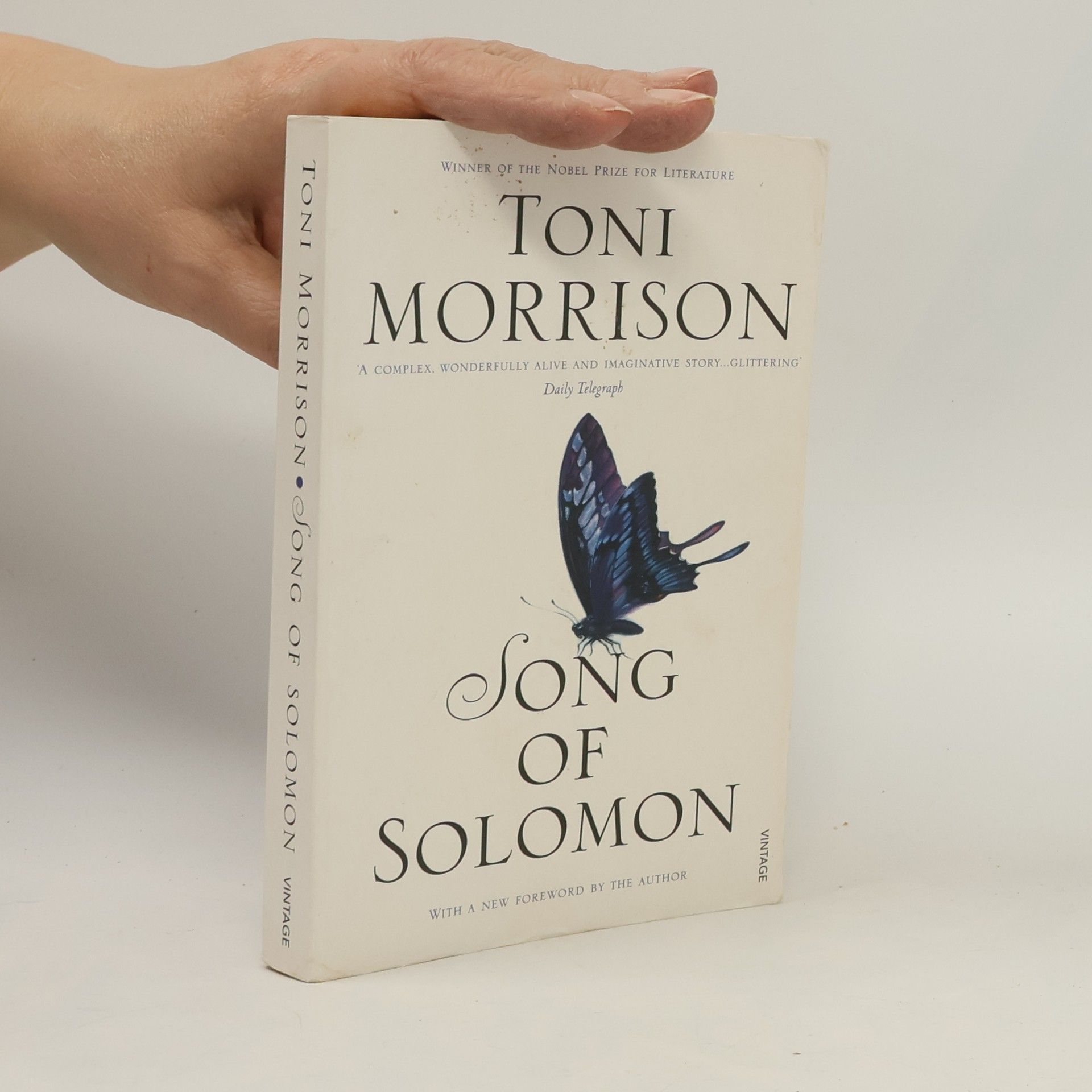 Toni Morrison Song of Solomon