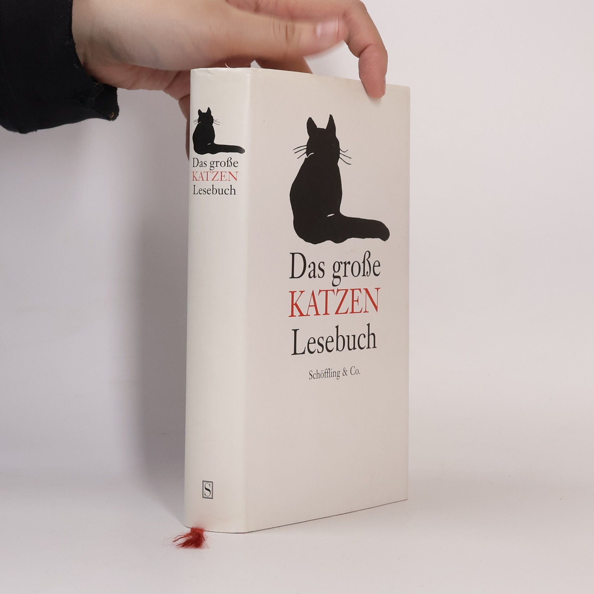 Das große Katzen-Lesebuch