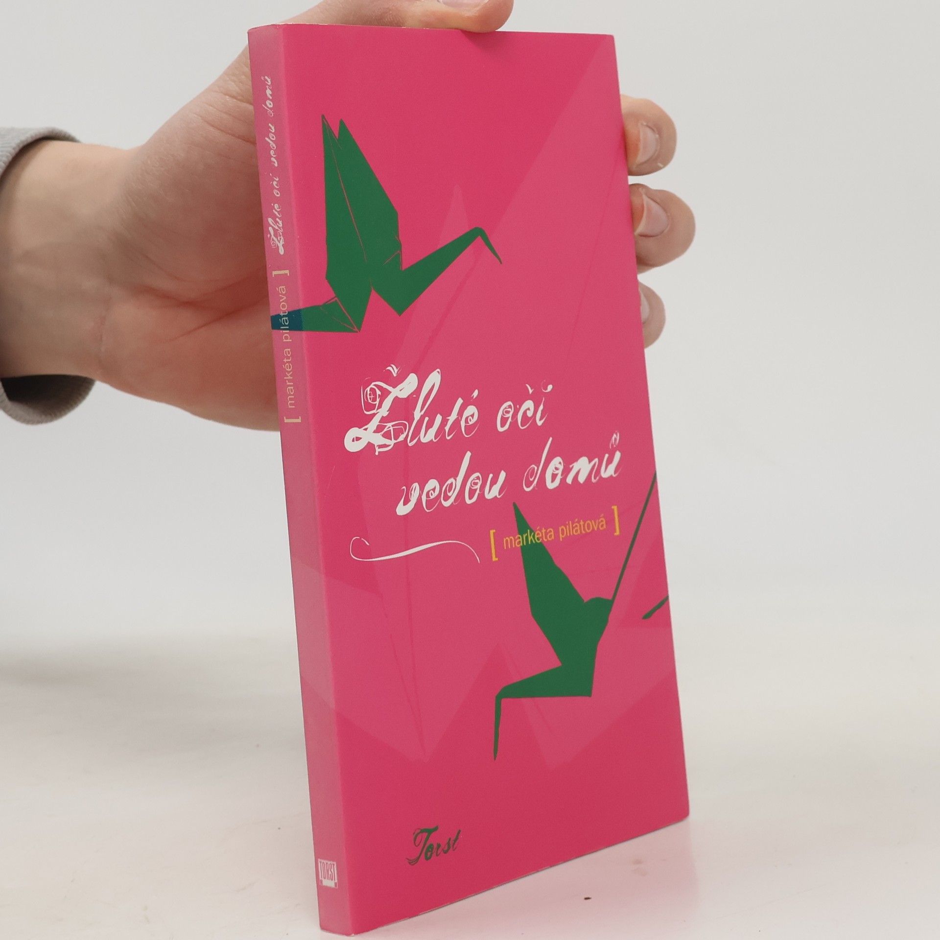 Markéta Pilátová Žluté oči vedou domů