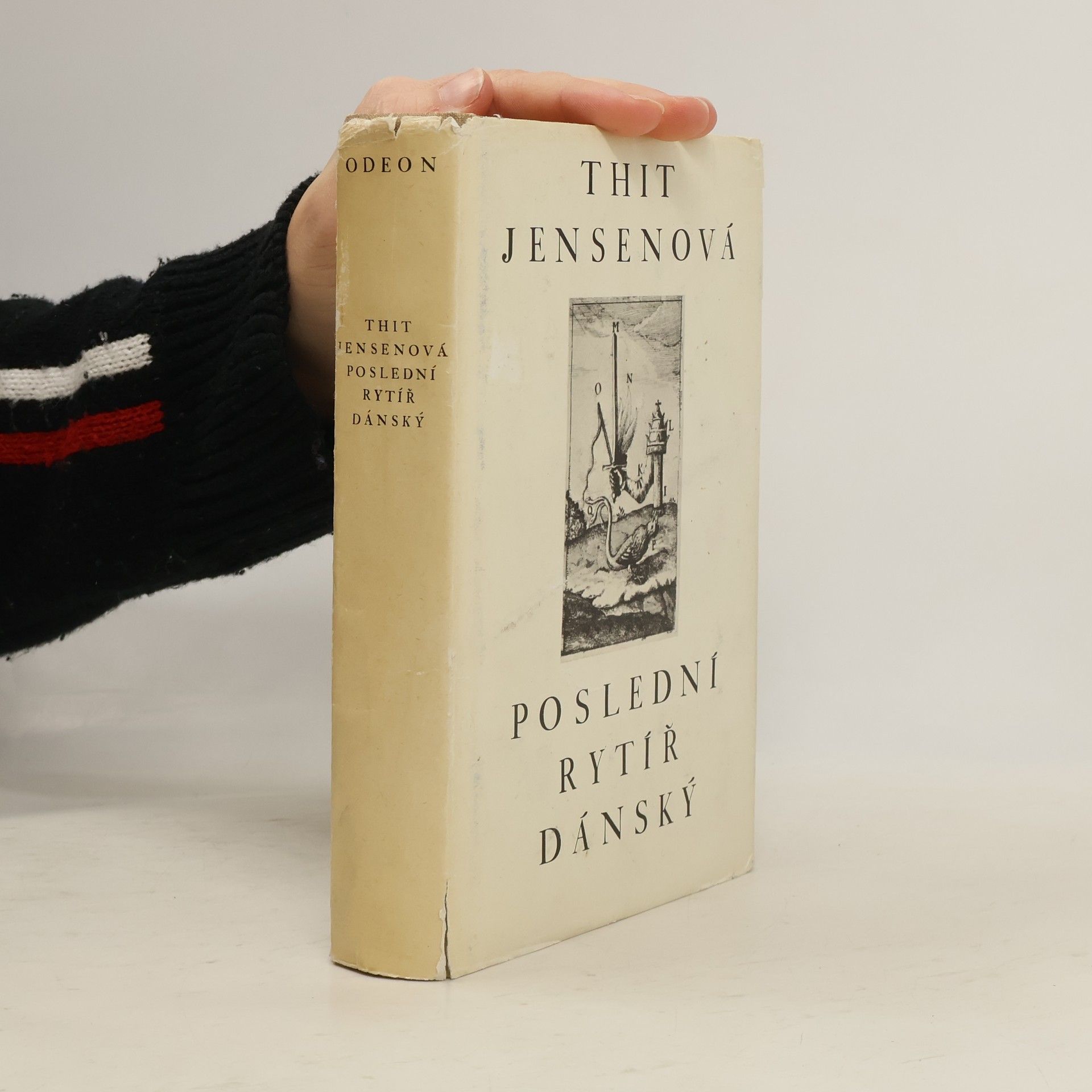 Poslední rytíř dánský