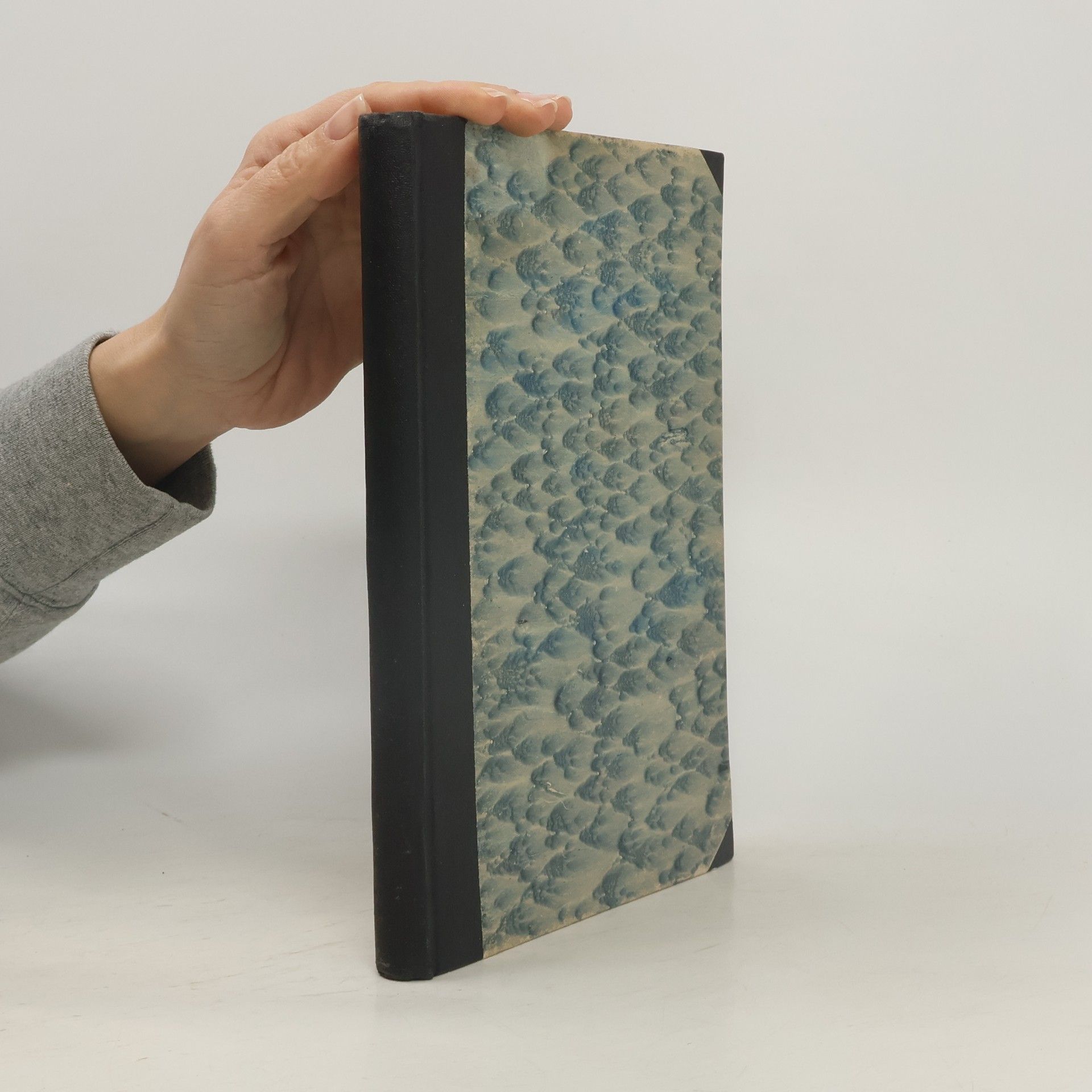 Kolektiv autorů Systéme du verbe Russe