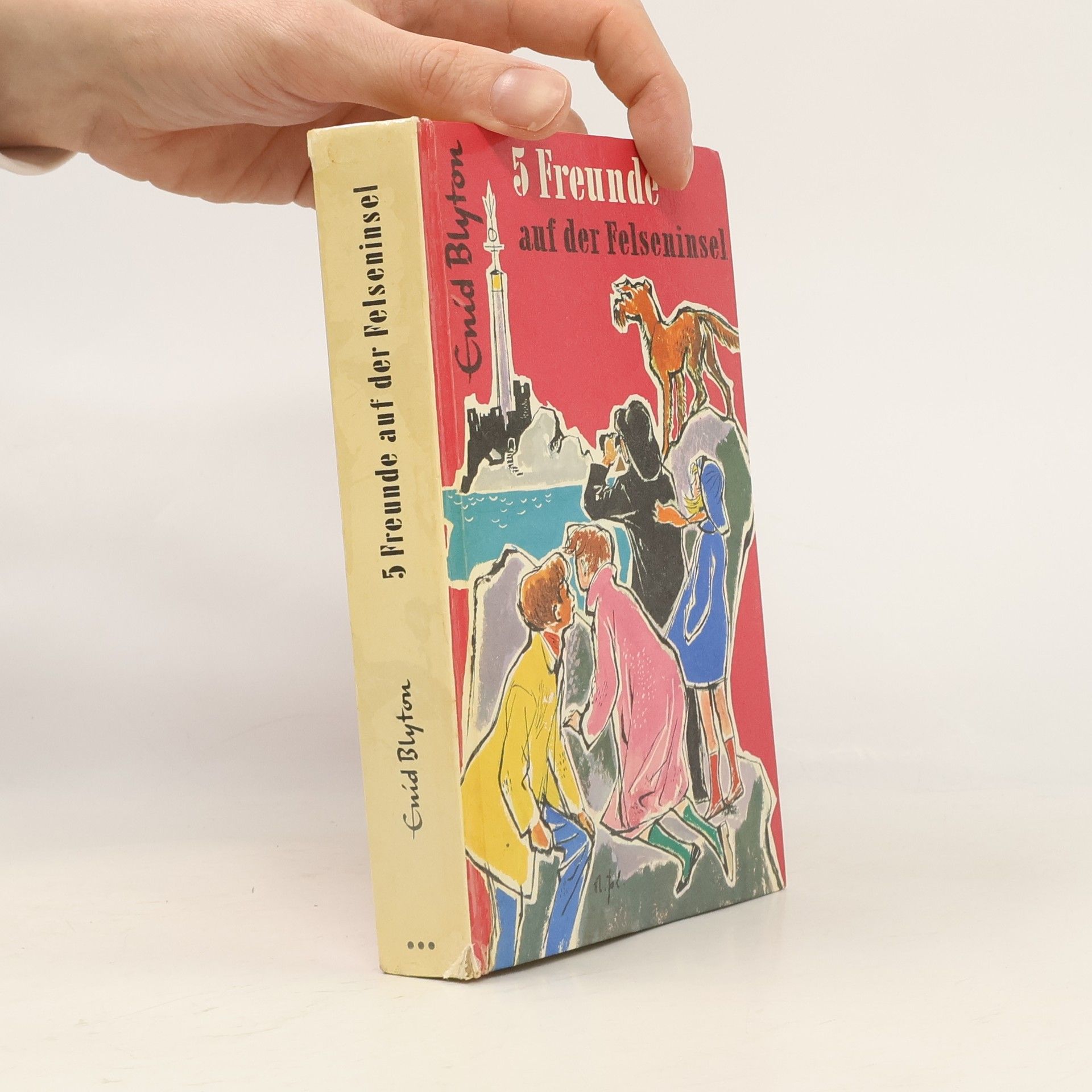Enid Blyton 5 Freunde auf der Felseninsel