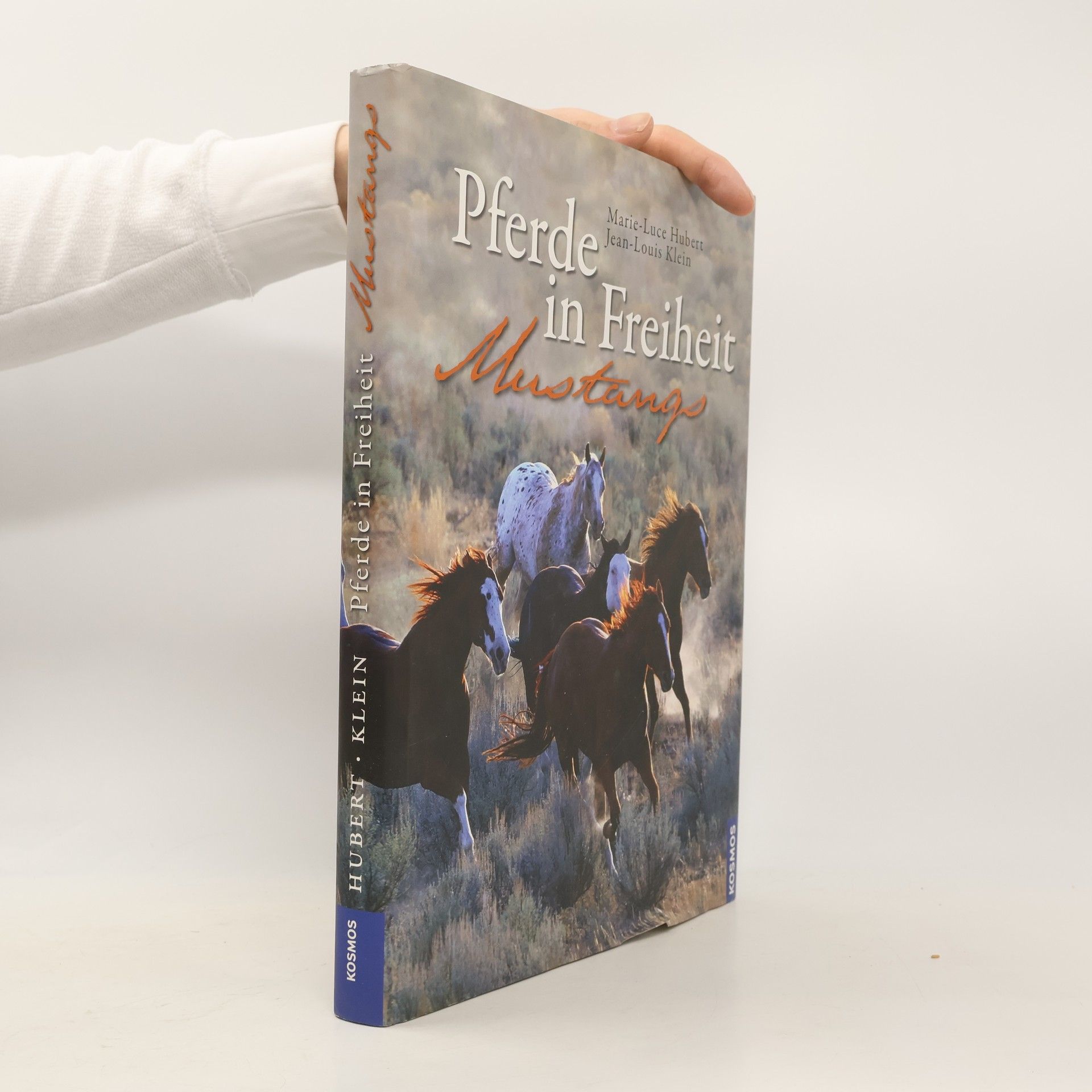 Louis Klein Pferde in Freiheit