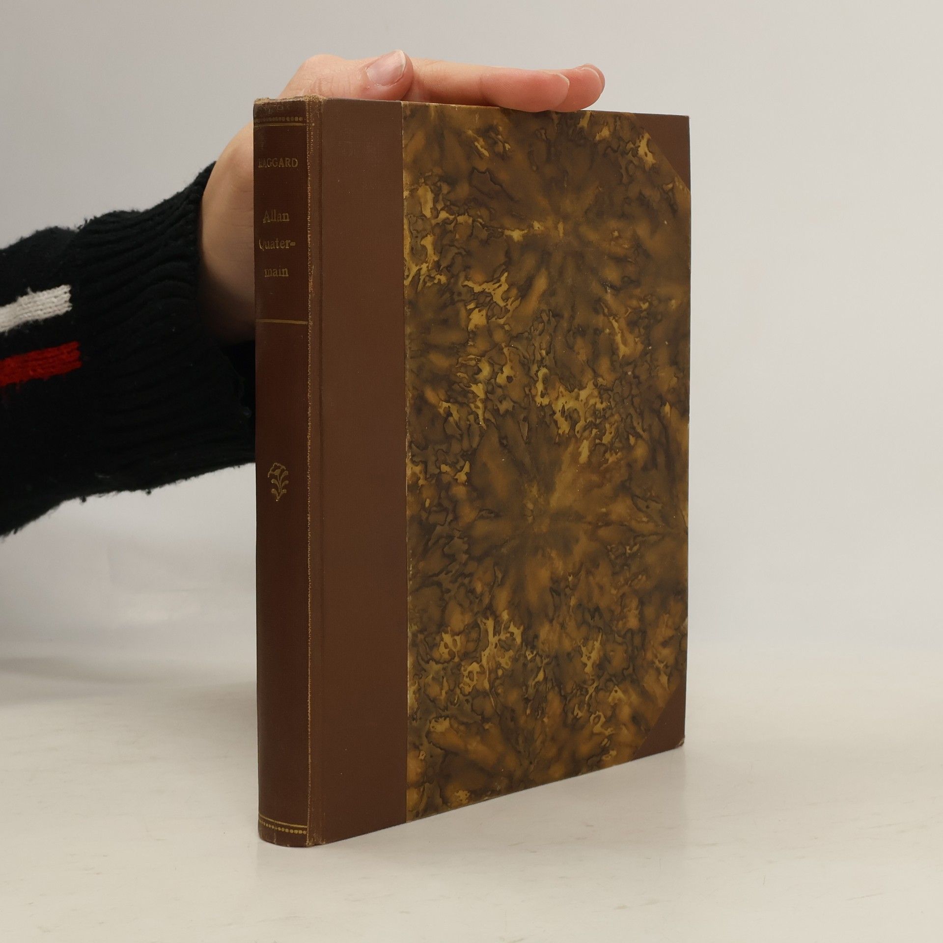 Henry Rider Haggard Allan Quatermain, totiž jeho další dobrodružství a objevy ve společnosti sira Henriho Curtise, kapitána Johna Gooda a Umslopogaase : Díl I