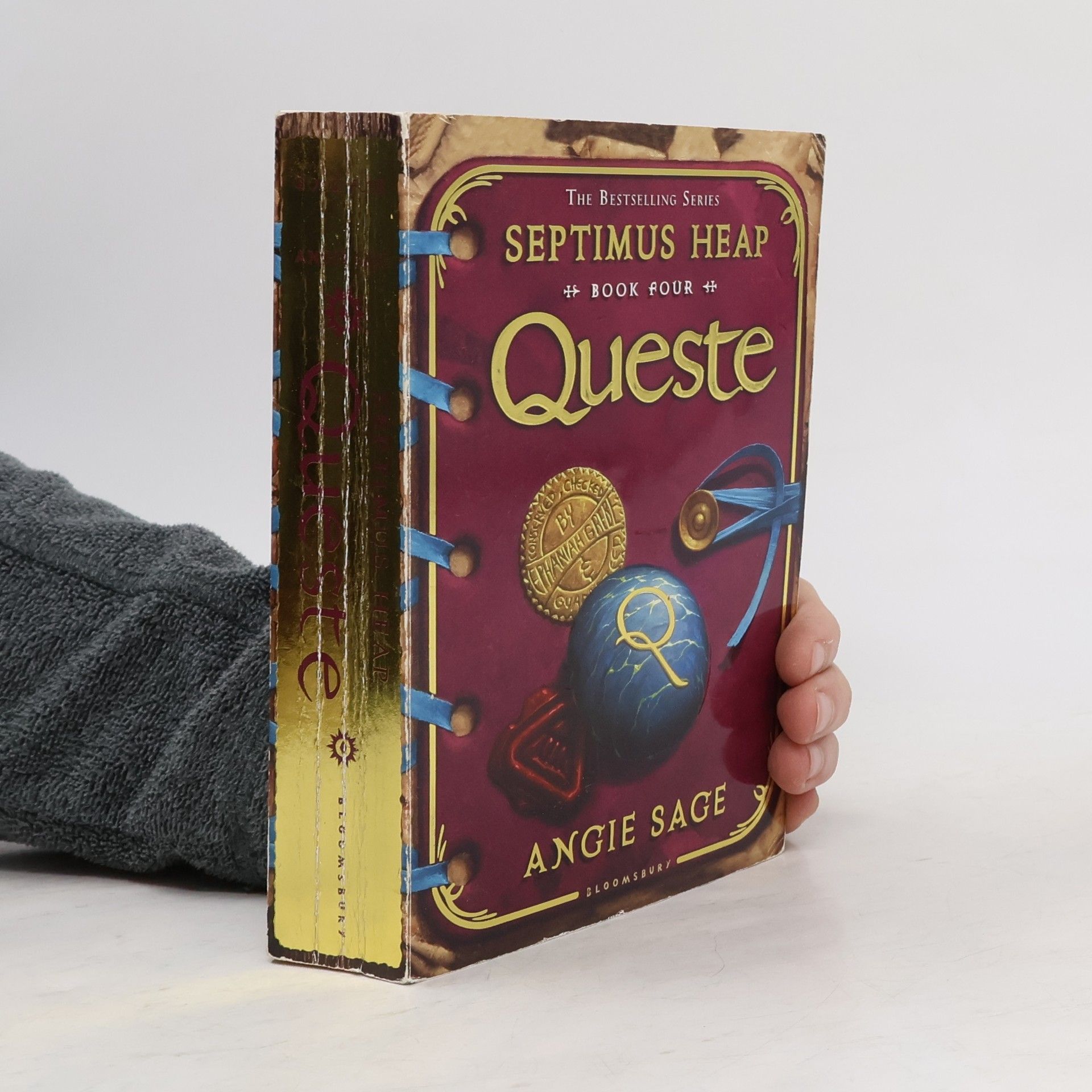 Angie Sage Queste