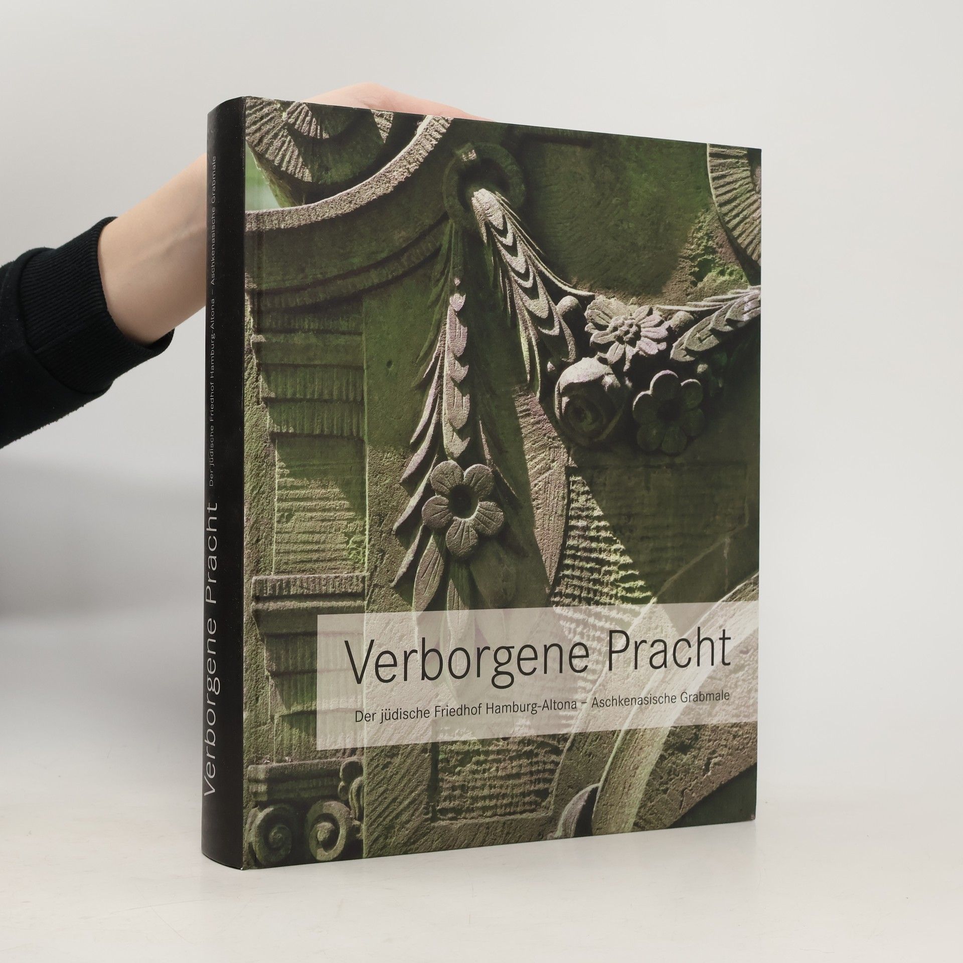 Michael Brocke Verborgene Pracht