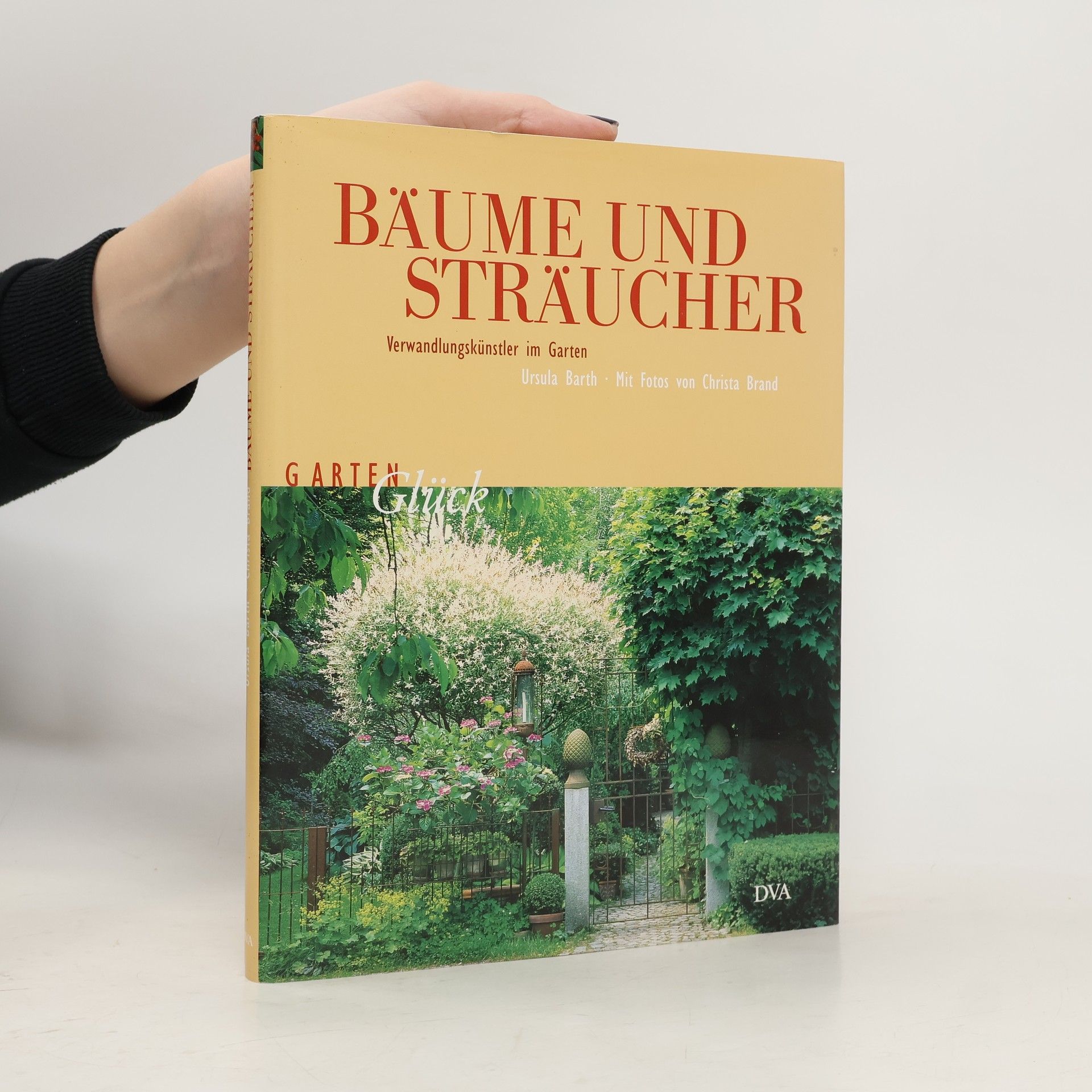 Bäume und Sträucher