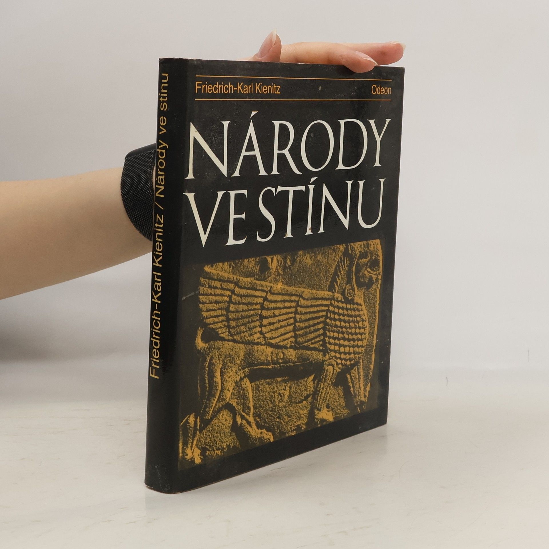 Friedrich Karl Kienitz Národy ve stínu