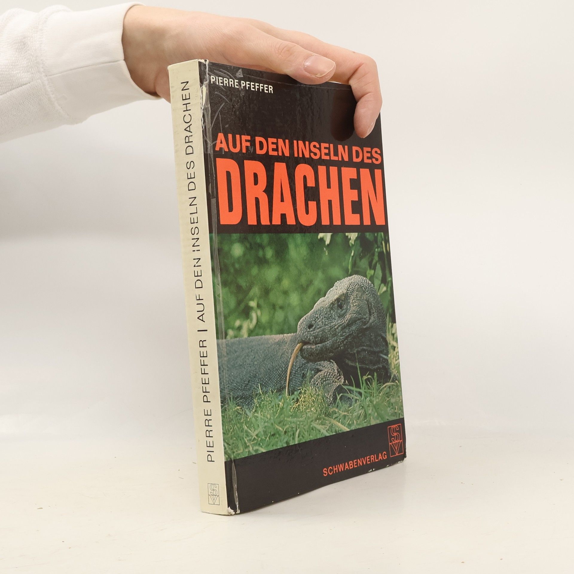 Pierre Pfeffer Auf den Inseln des Drachen