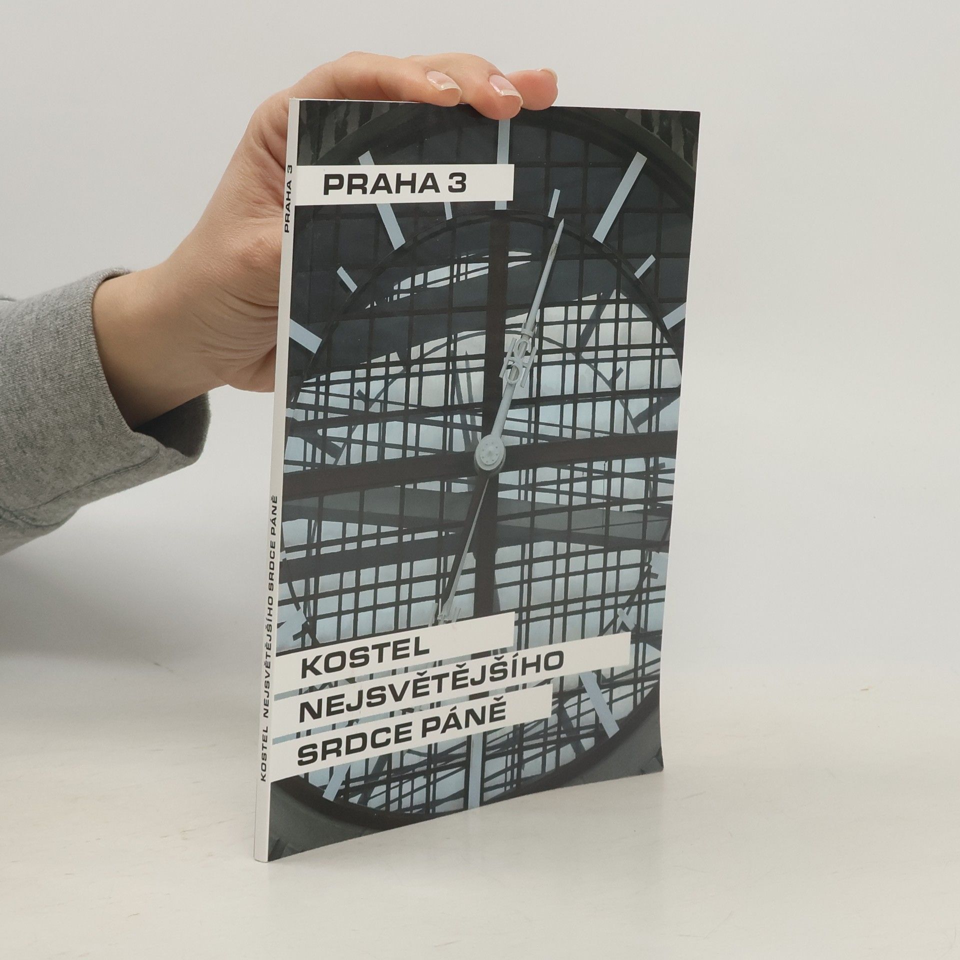 Dana Schlaichertová Kostel nejsvětějšího srdce Páně. Praha 3