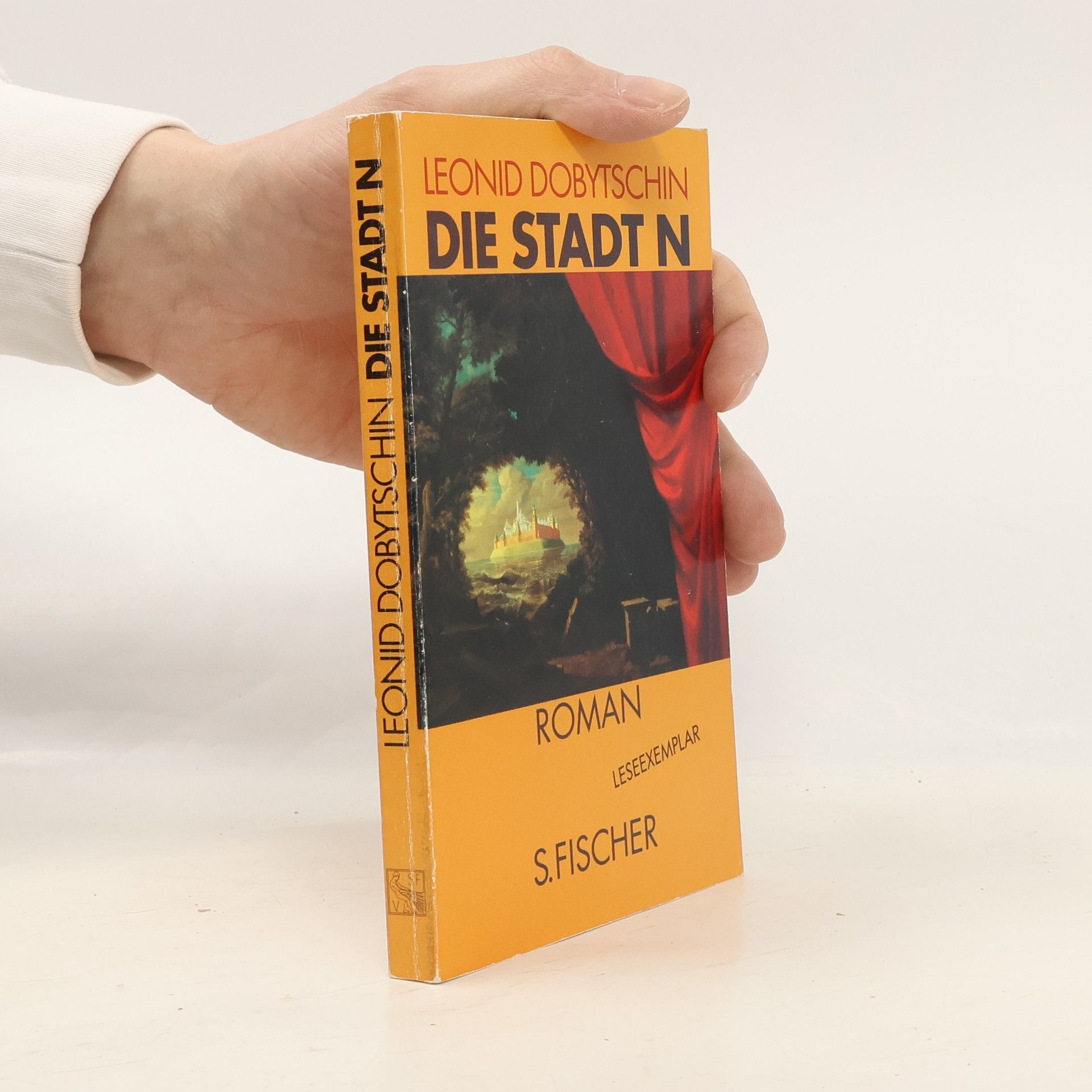 Leonid I. Dobyčin Die Stadt N