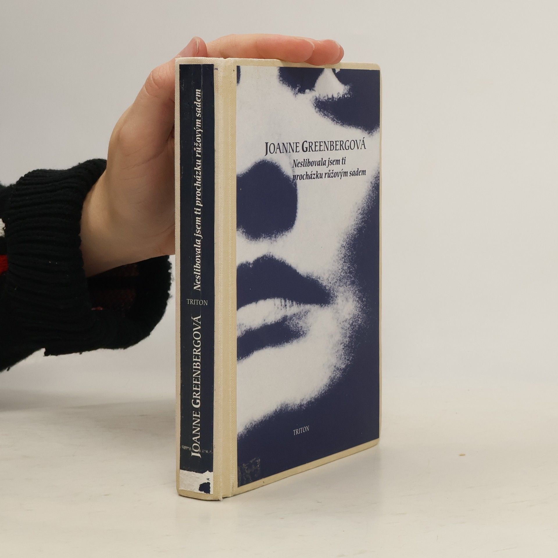 Joanne Greenberg Neslibovala jsem ti procházku růžovým sadem