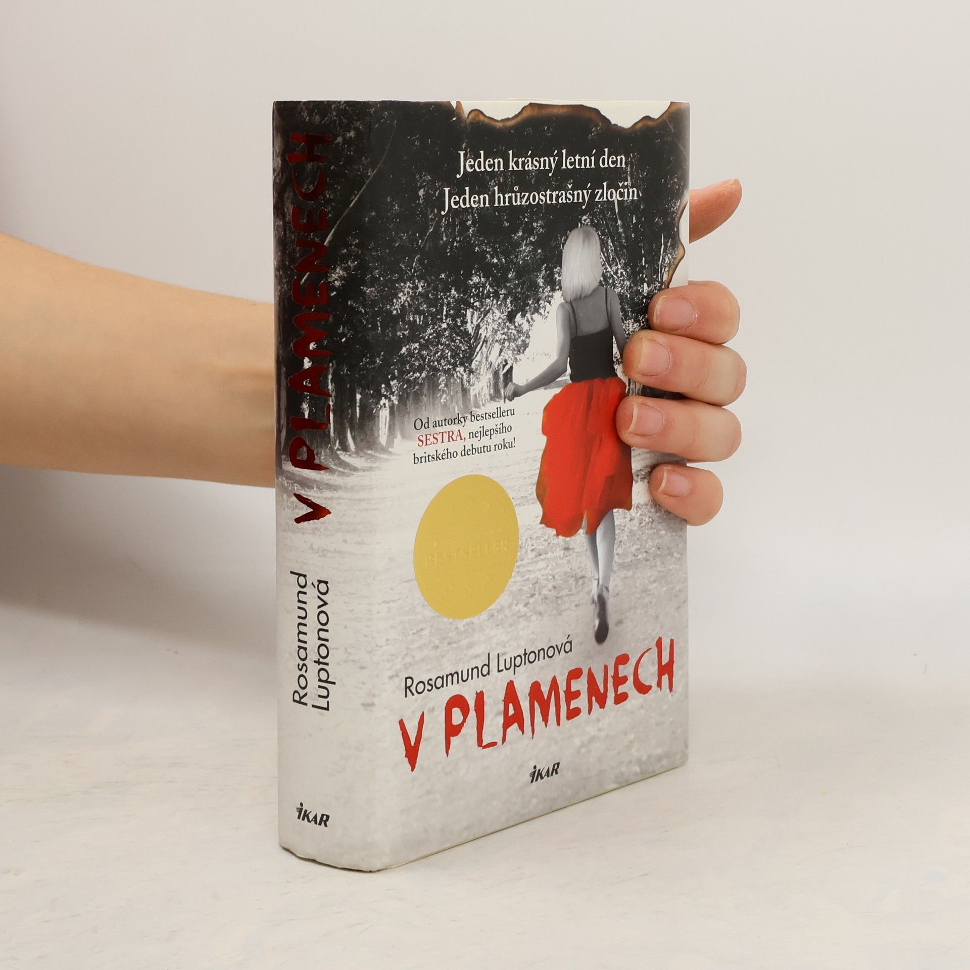 Rosamund Lupton V plamenech