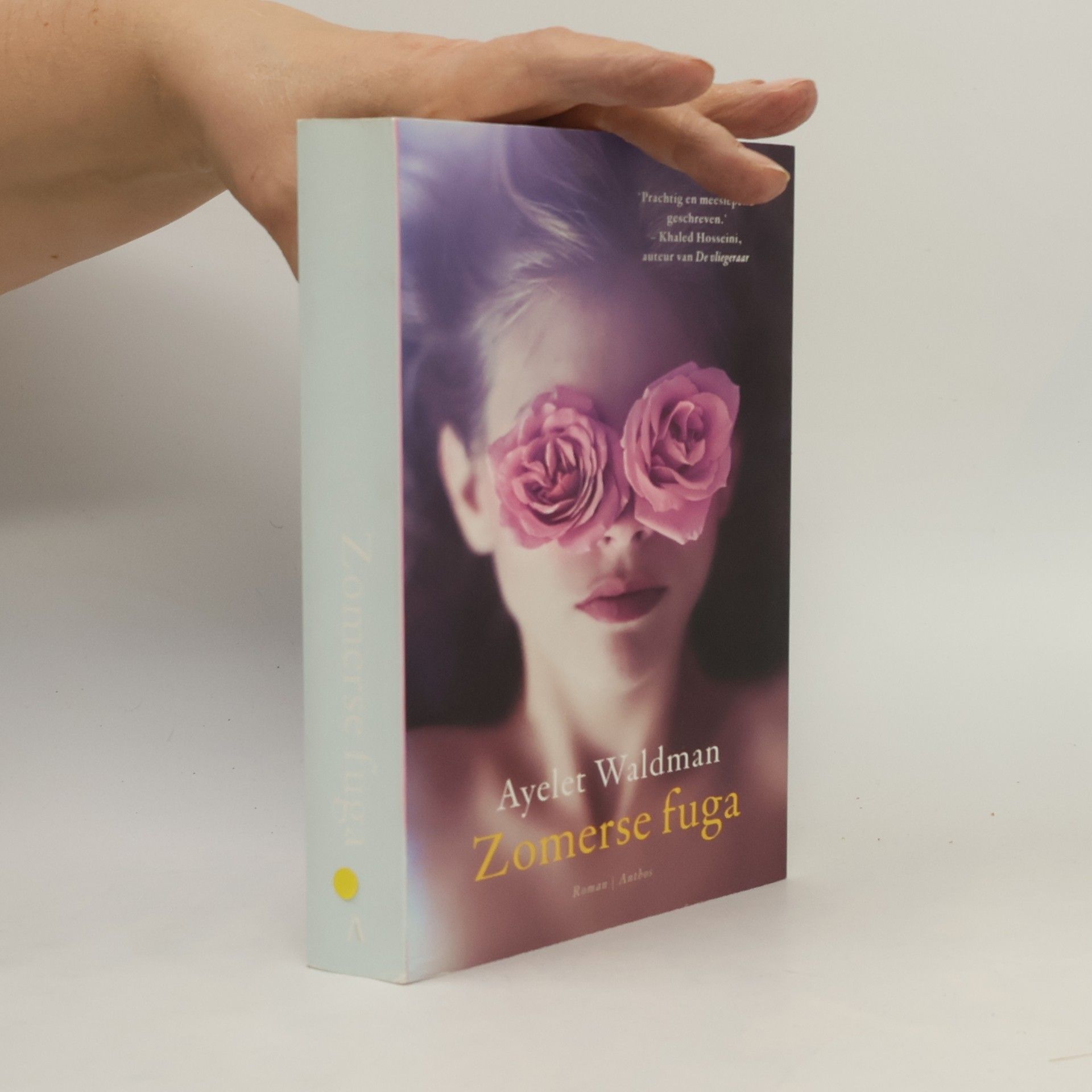 Ayelet Waldman Zomerse fuga