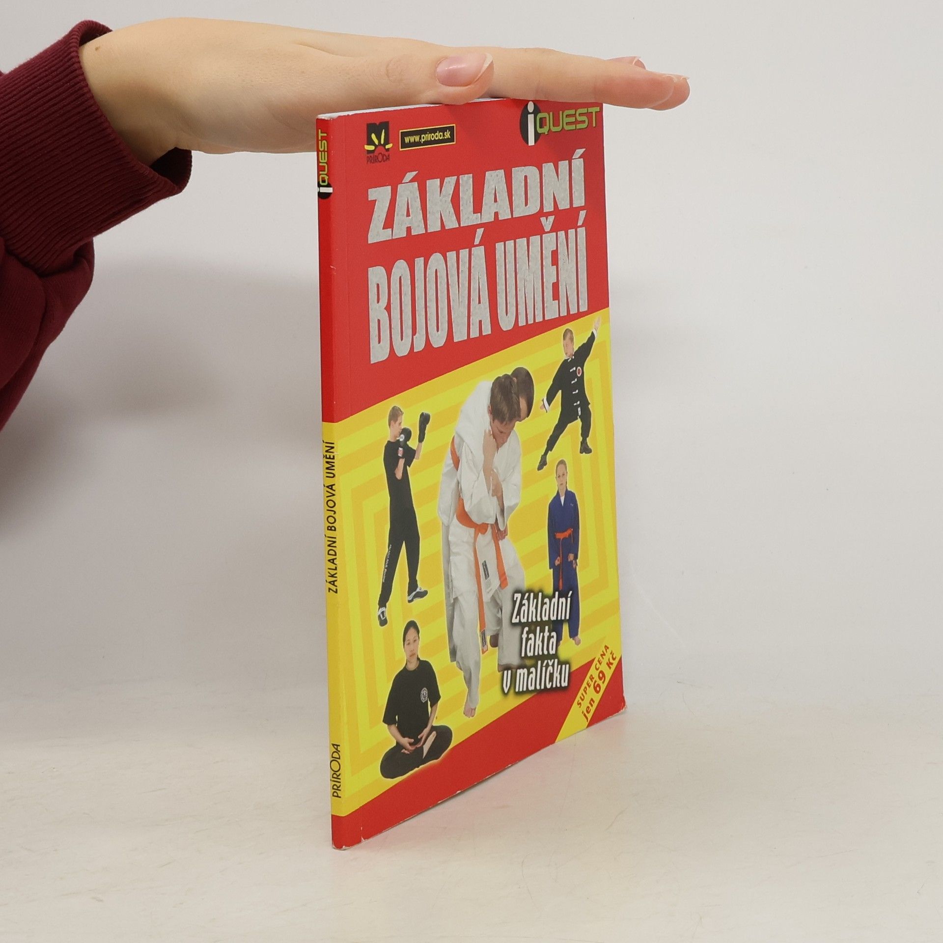 Základní bojová umění