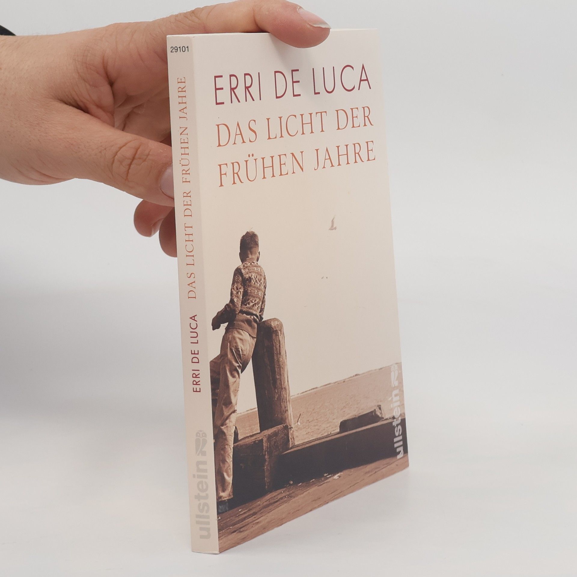 Erri De Luca Das Licht der frühen Jahre