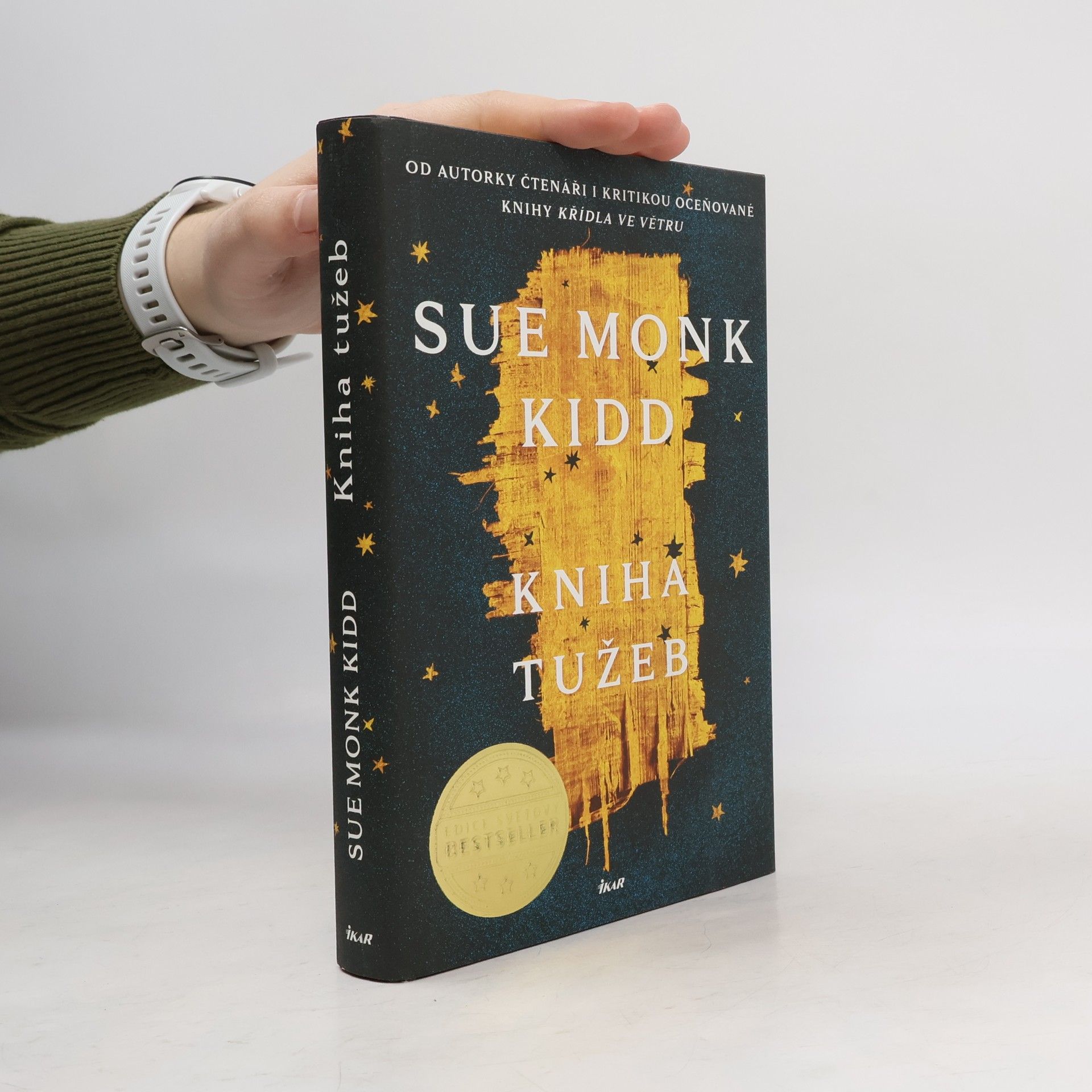 Sue Monk Kidd Kniha tužeb